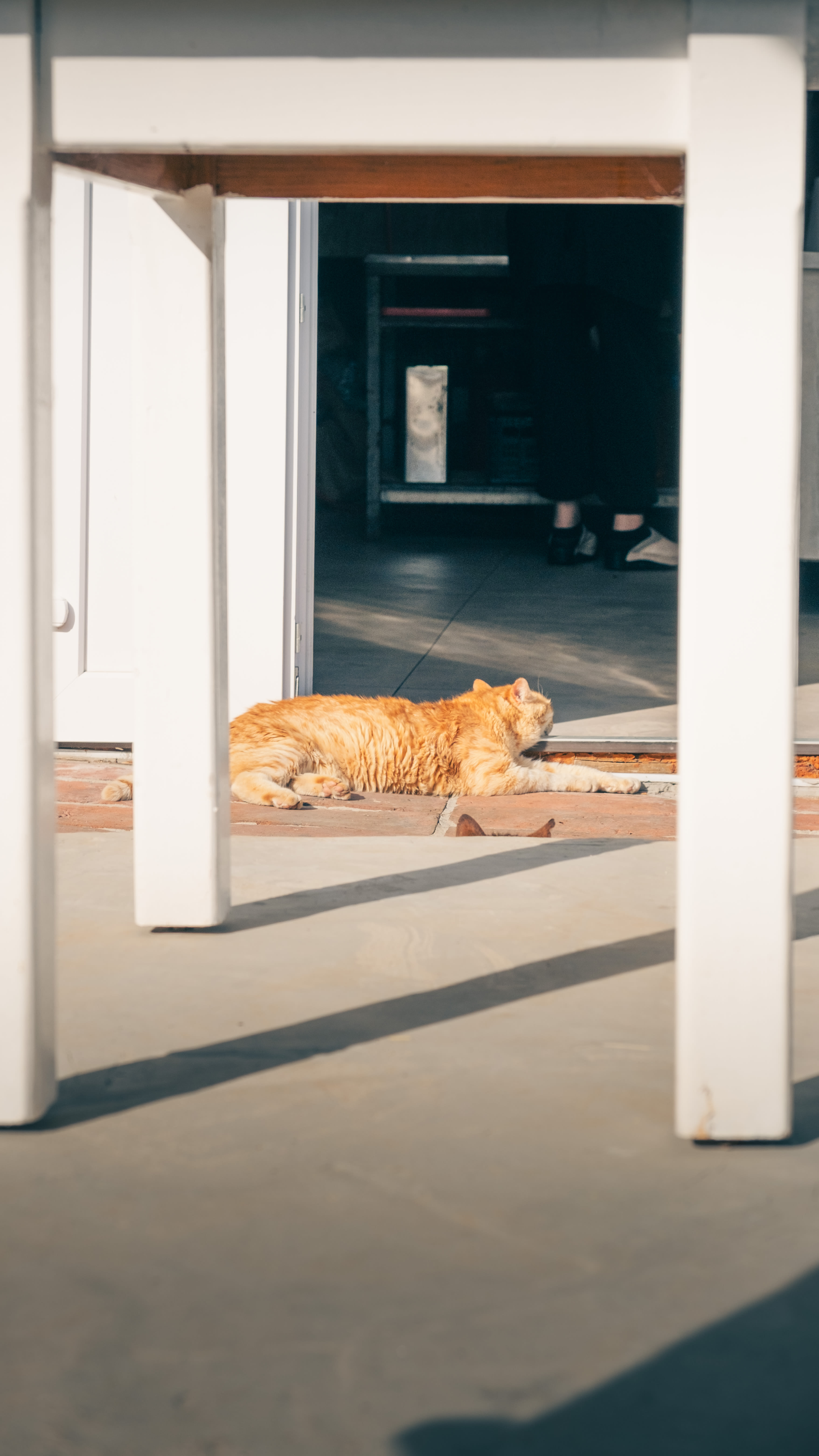 Photography by Hermann Stern