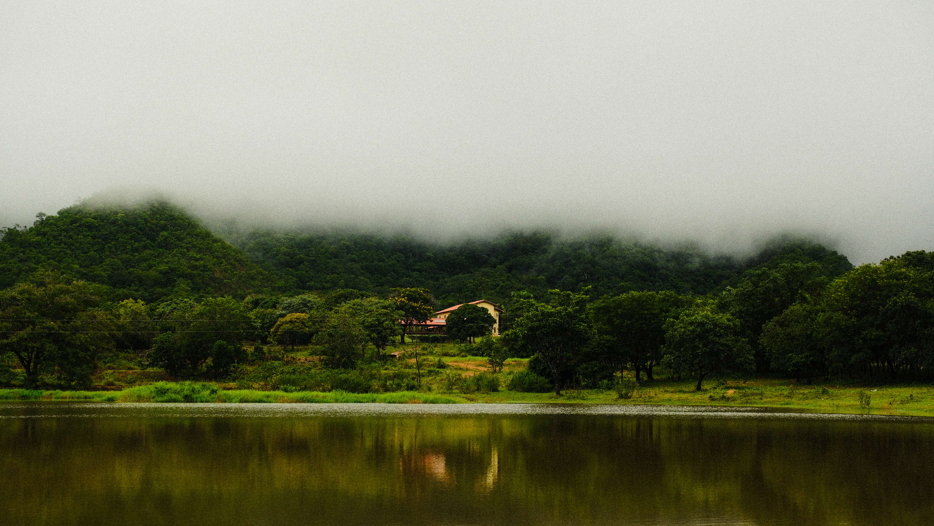 Photography by Hermann Stern