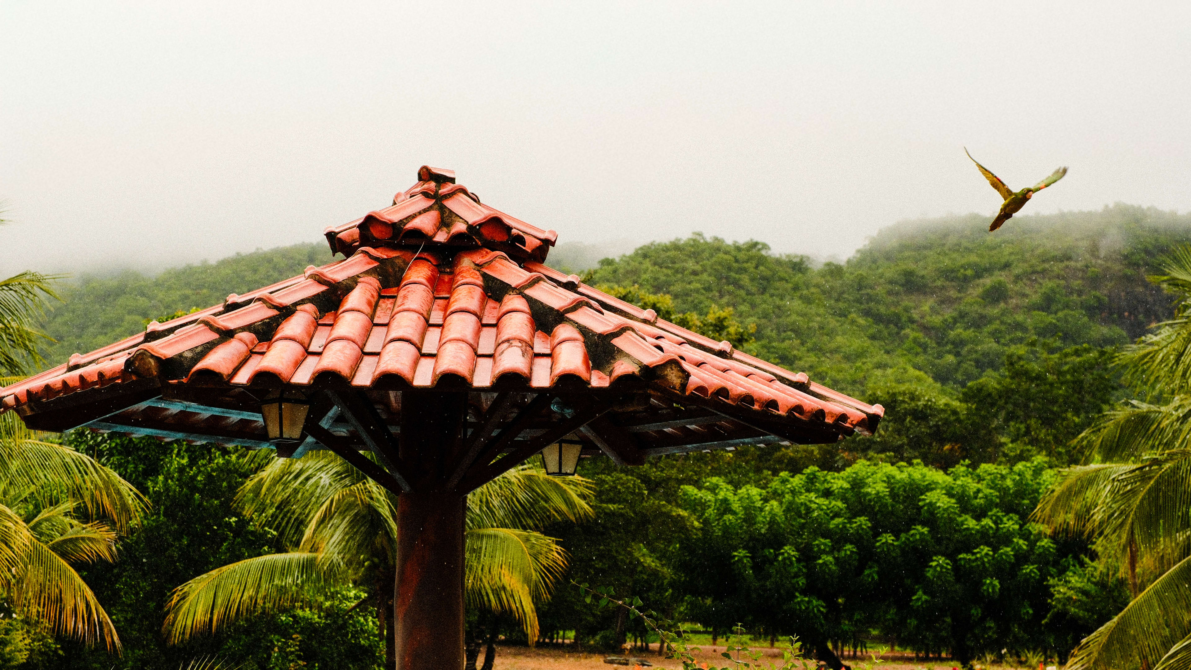 Photography by Hermann Stern