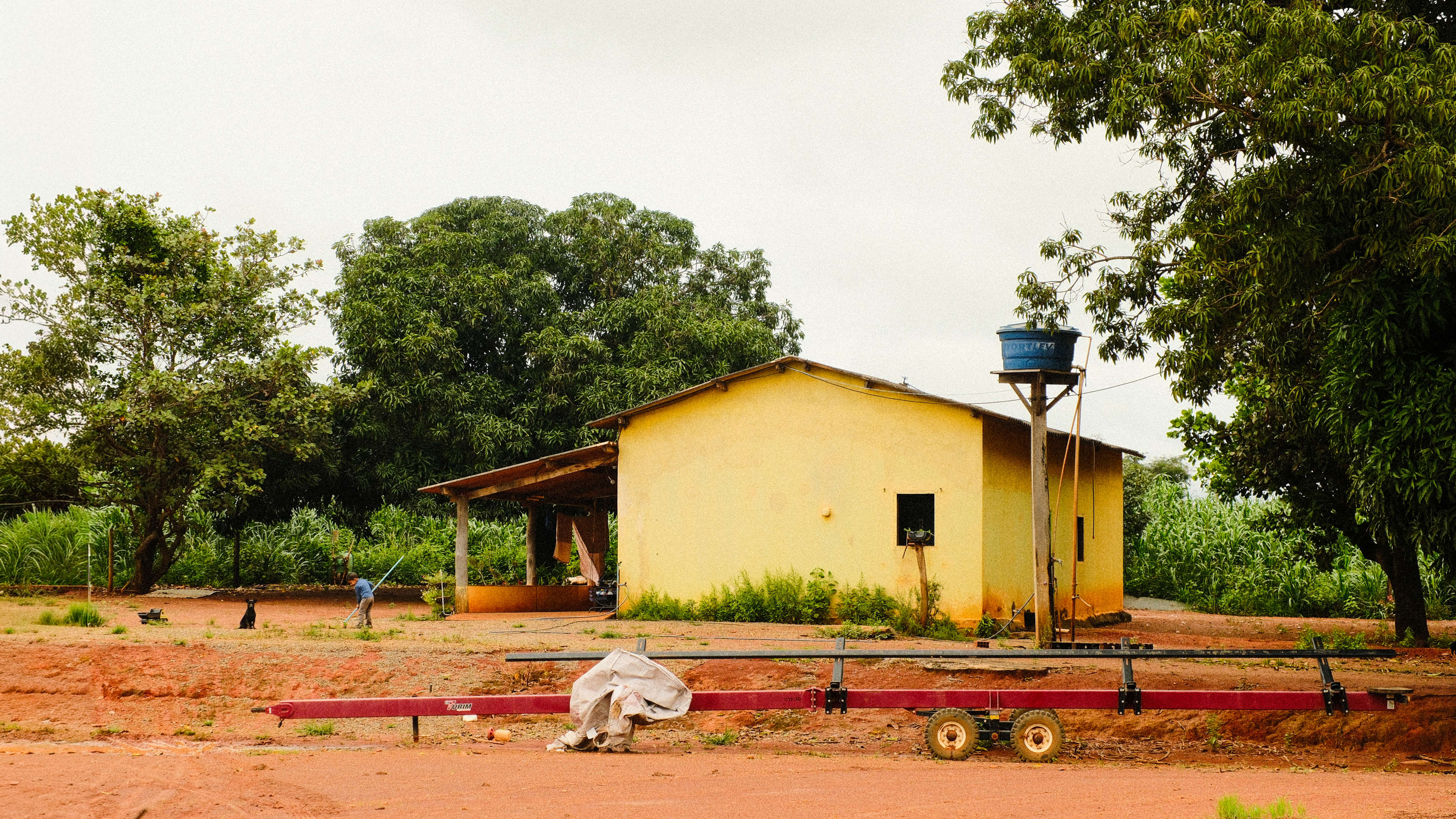 Photography by Hermann Stern