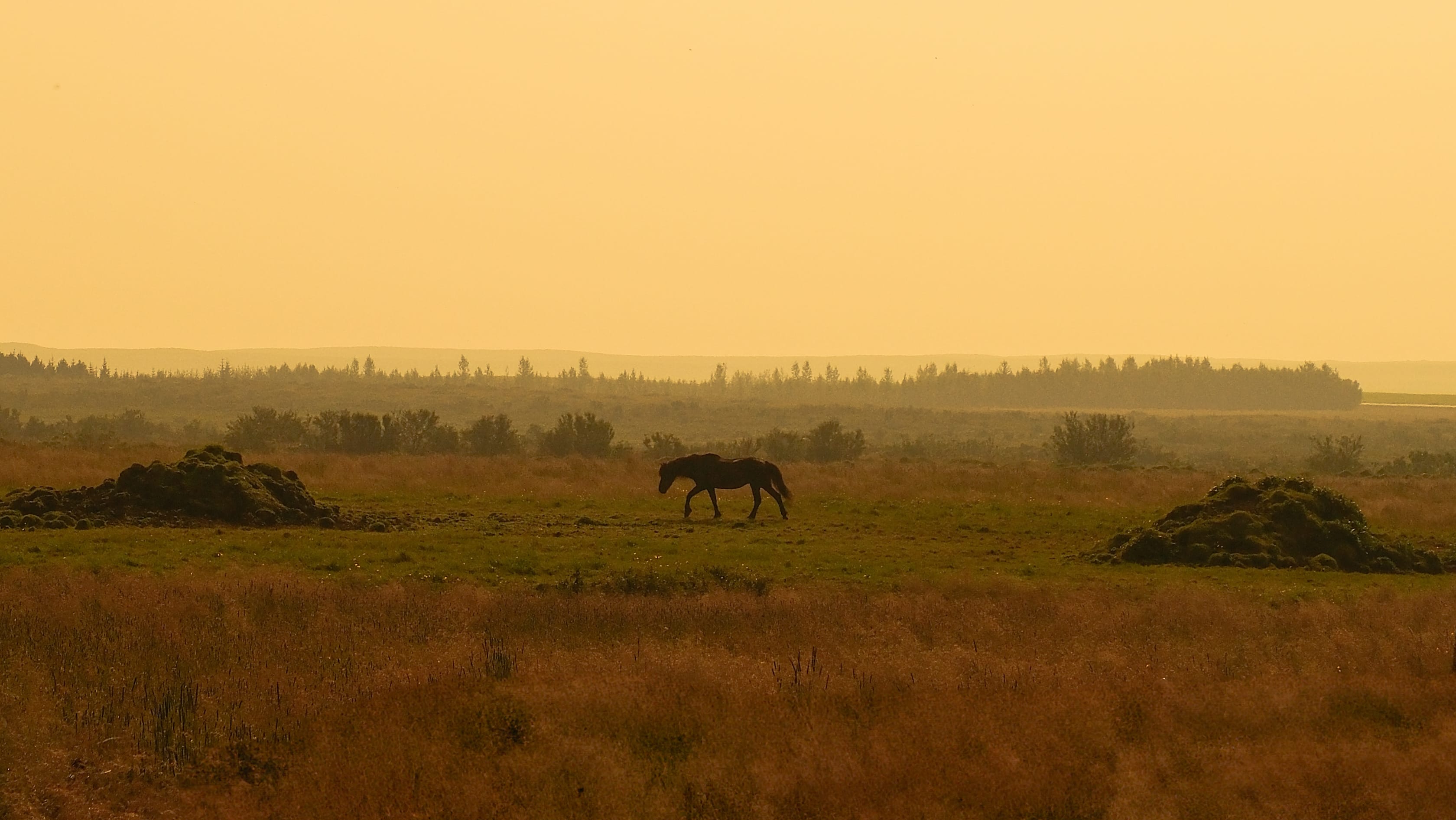 Photography by Hermann Stern