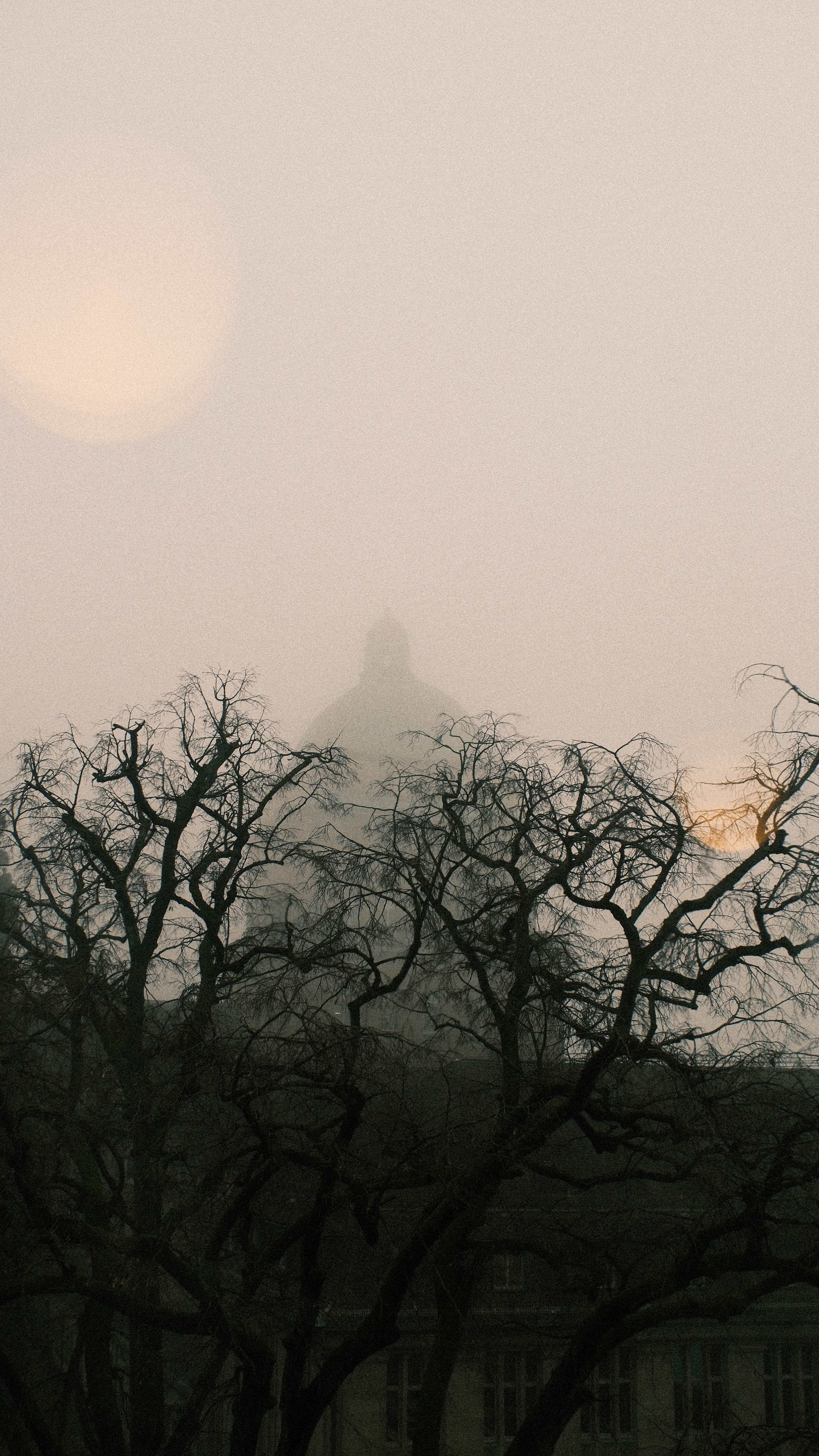 Photography by Hermann Stern