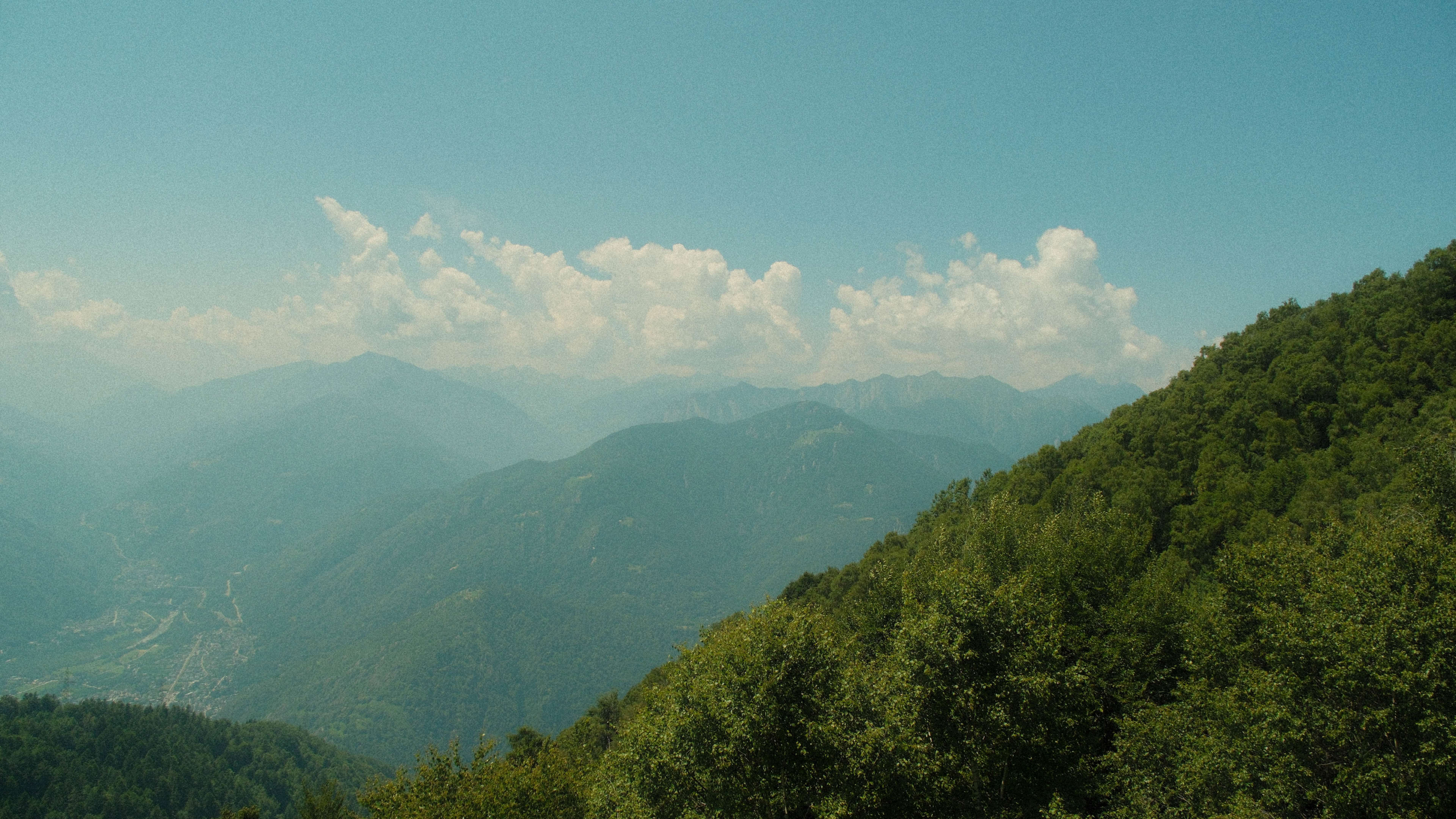 Photography by Hermann Stern