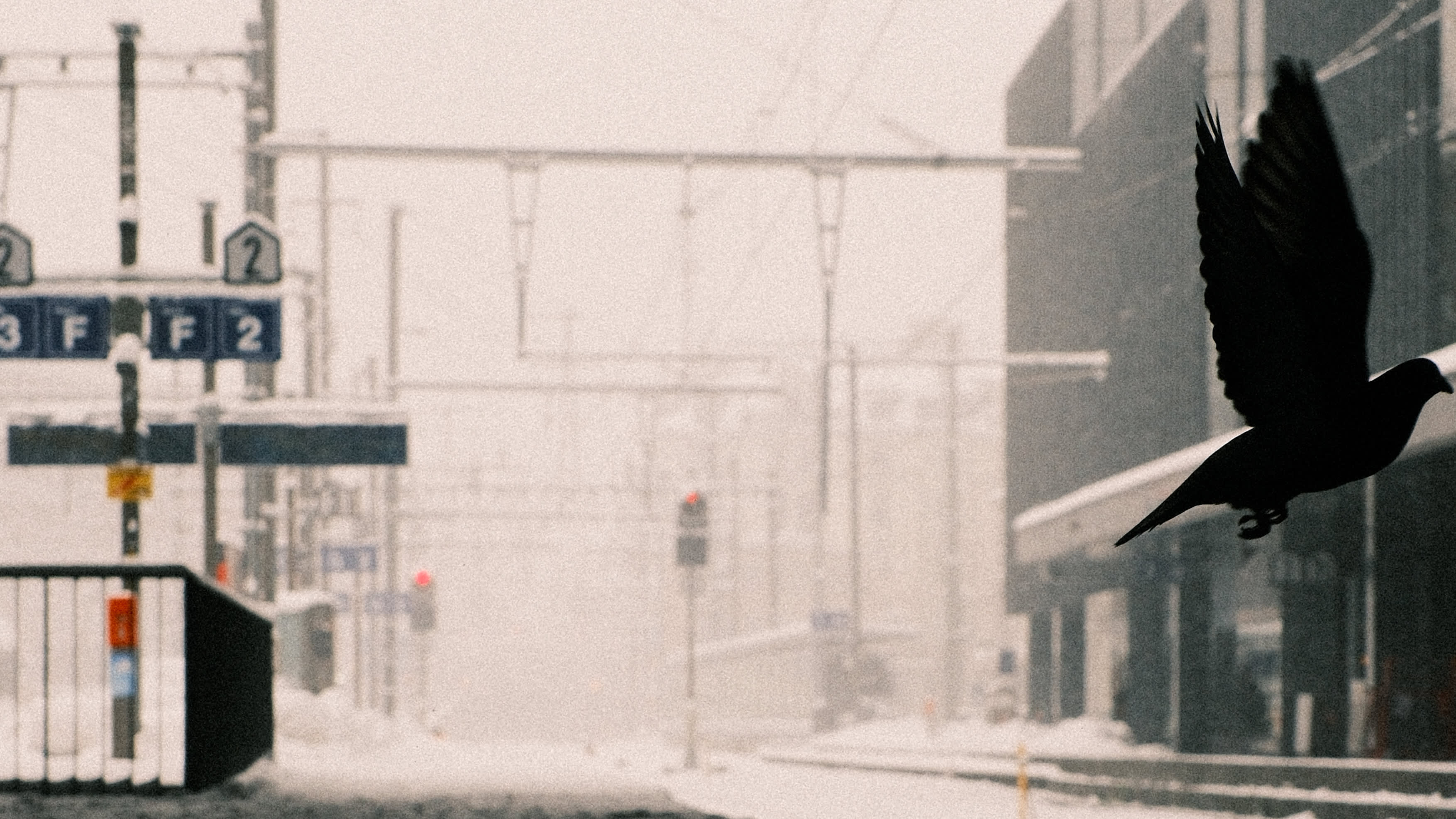 Photography by Hermann Stern