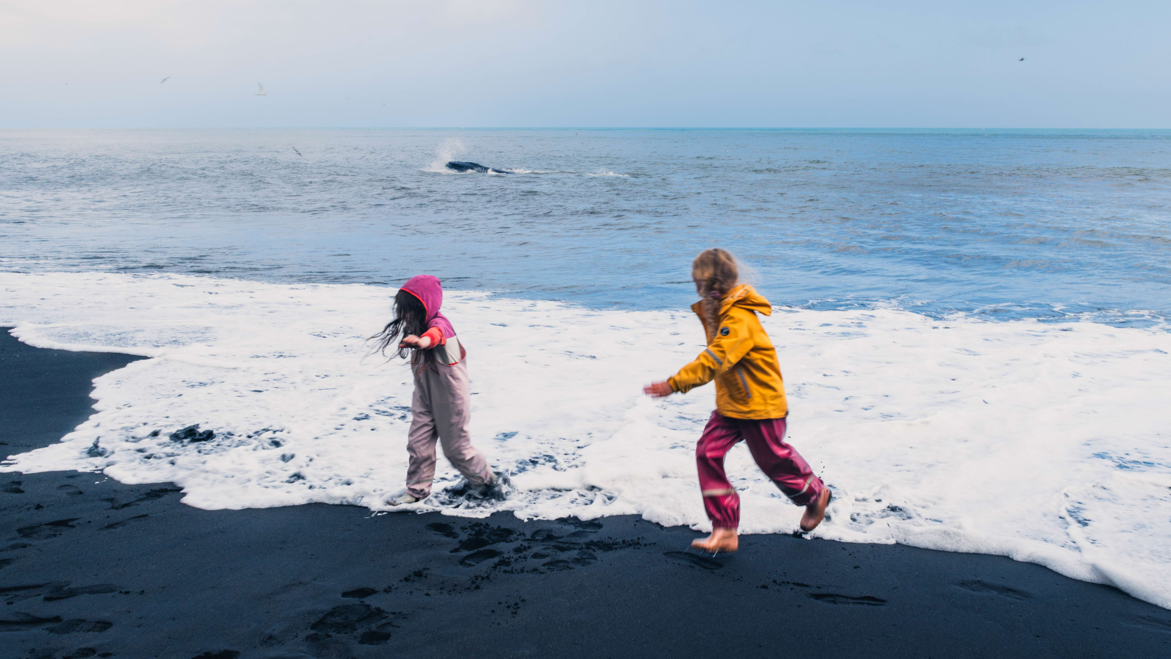 Photography by Hermann Stern