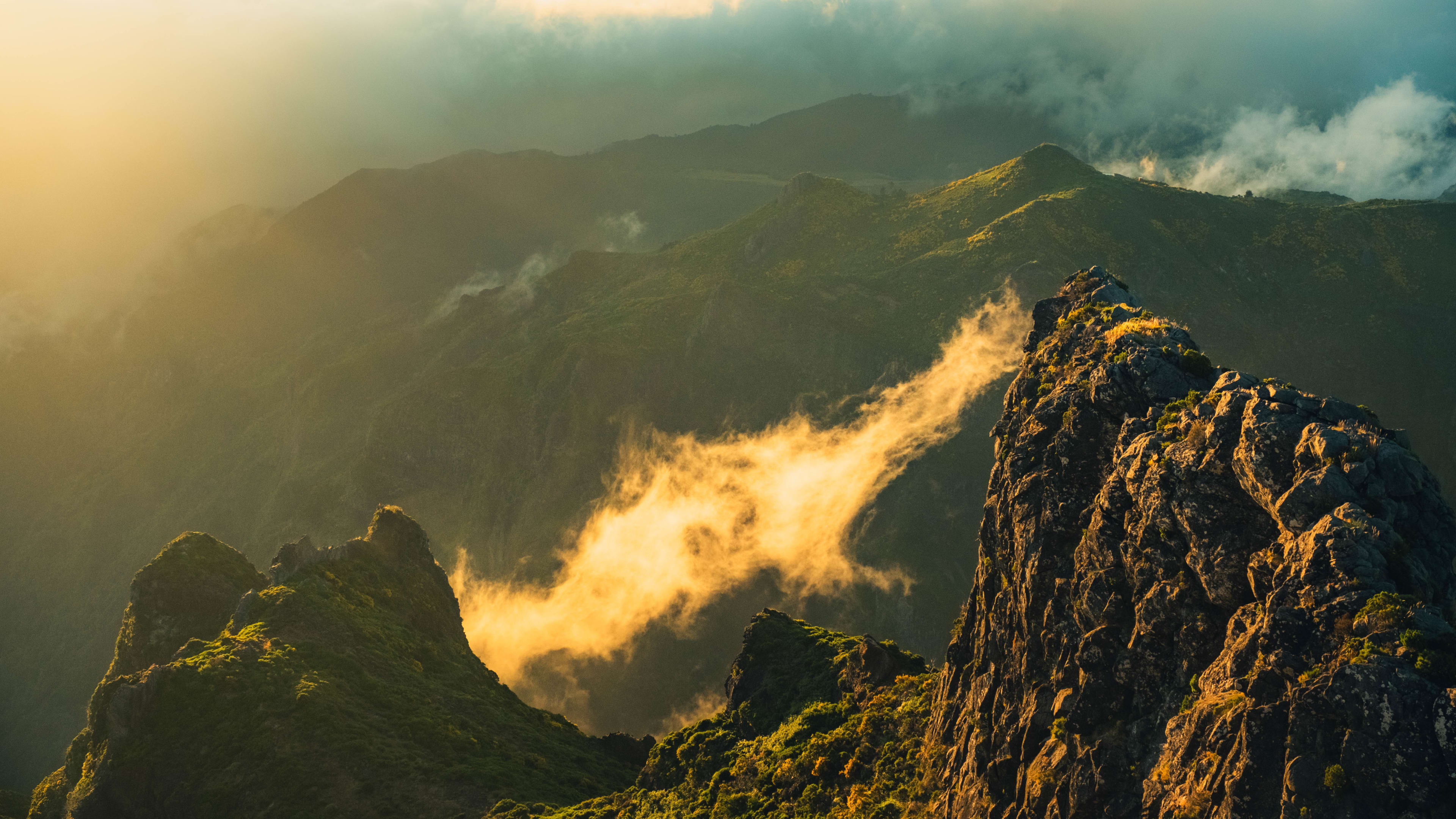 Photography by Hermann Stern