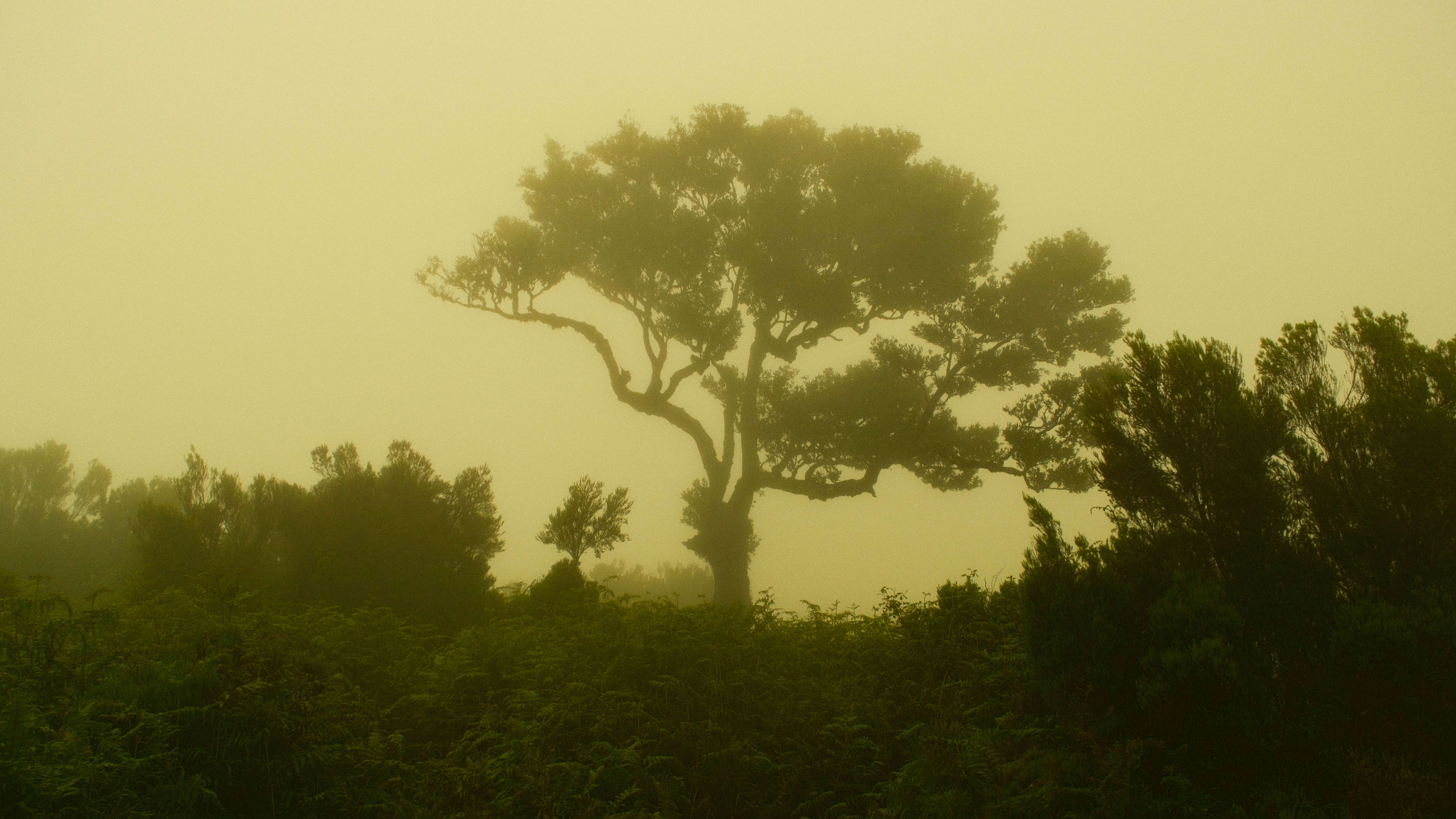 Photography by Hermann Stern