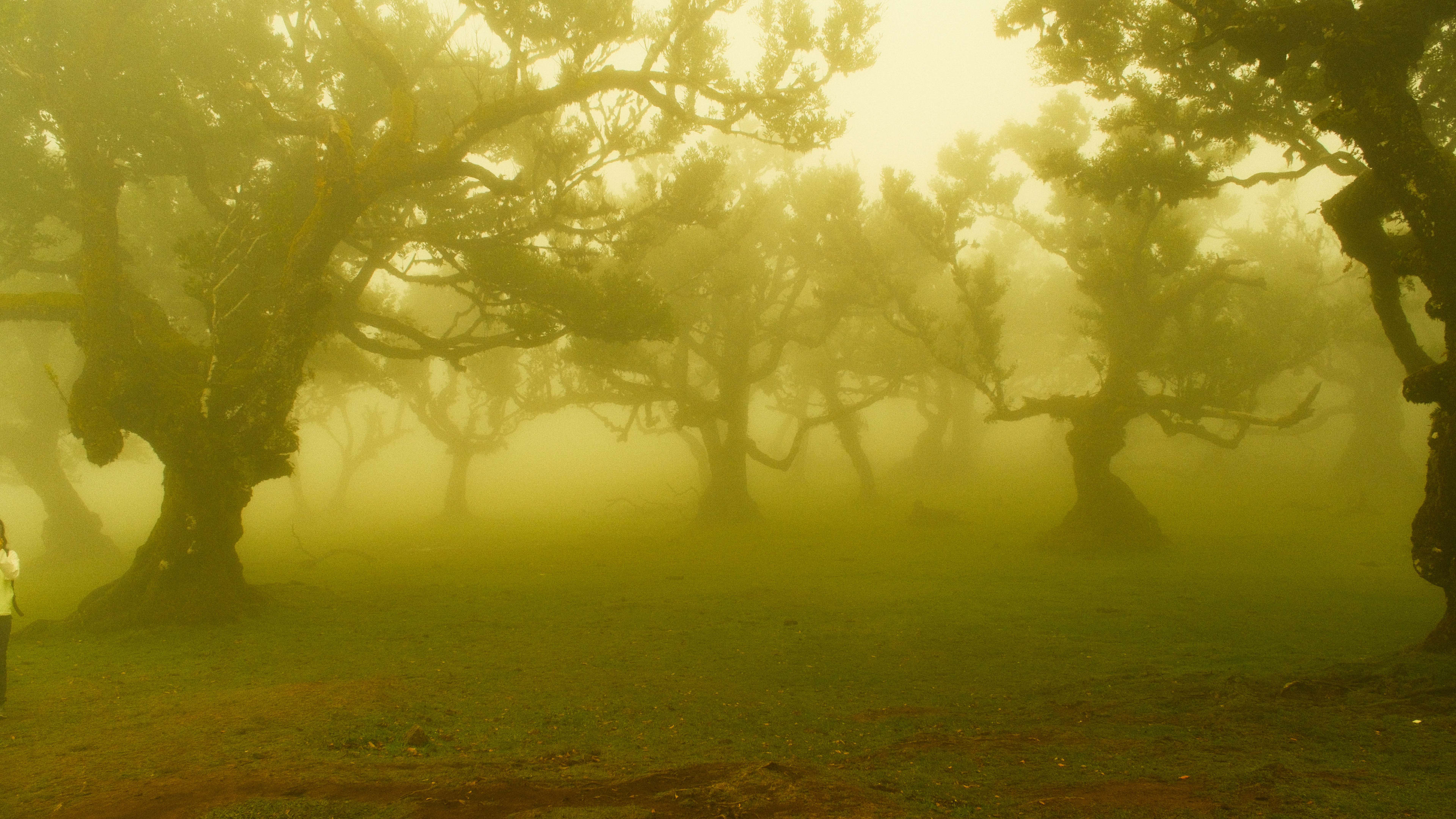 Photography by Hermann Stern