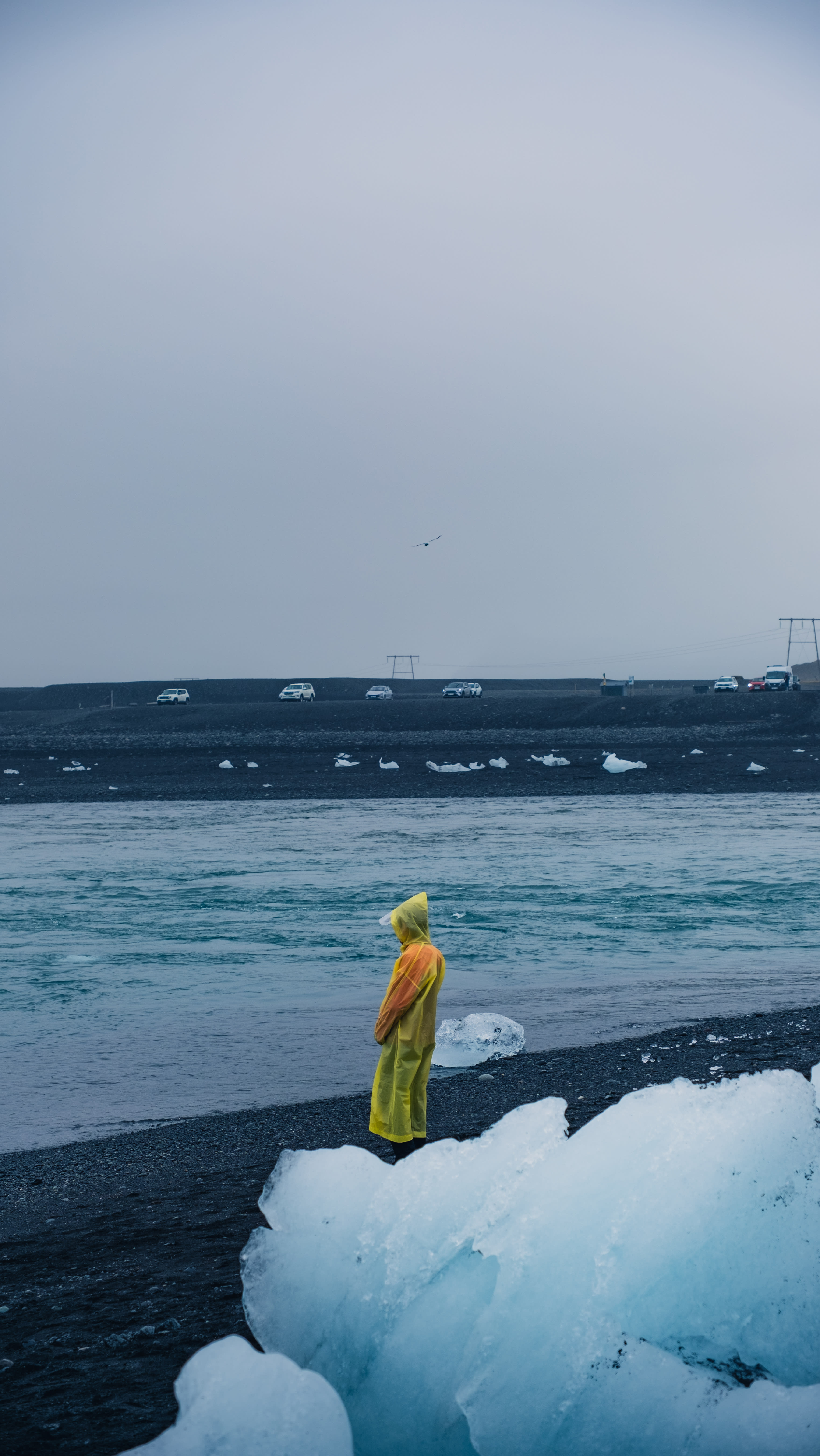 Photography by Hermann Stern