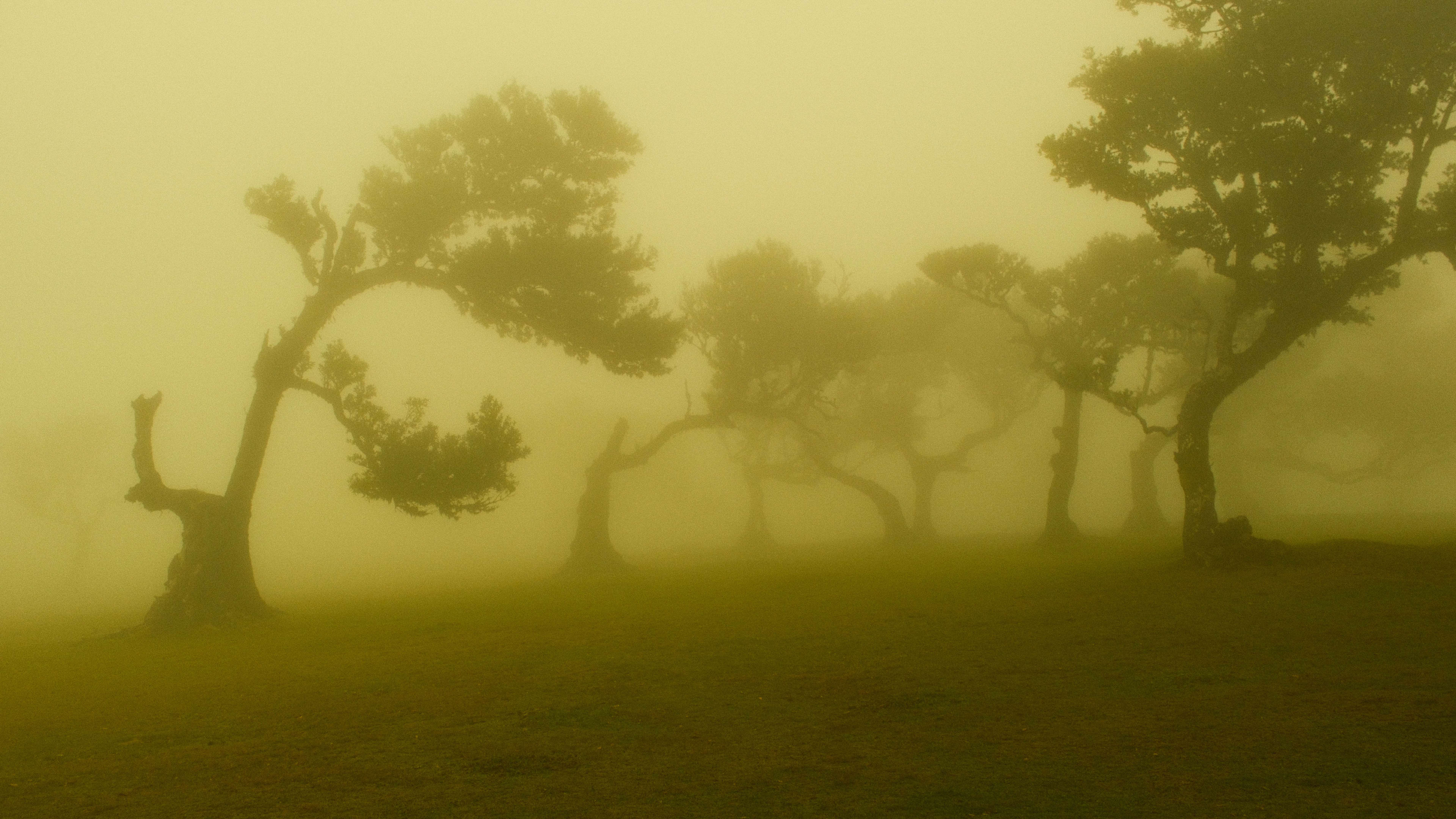 Photography by Hermann Stern