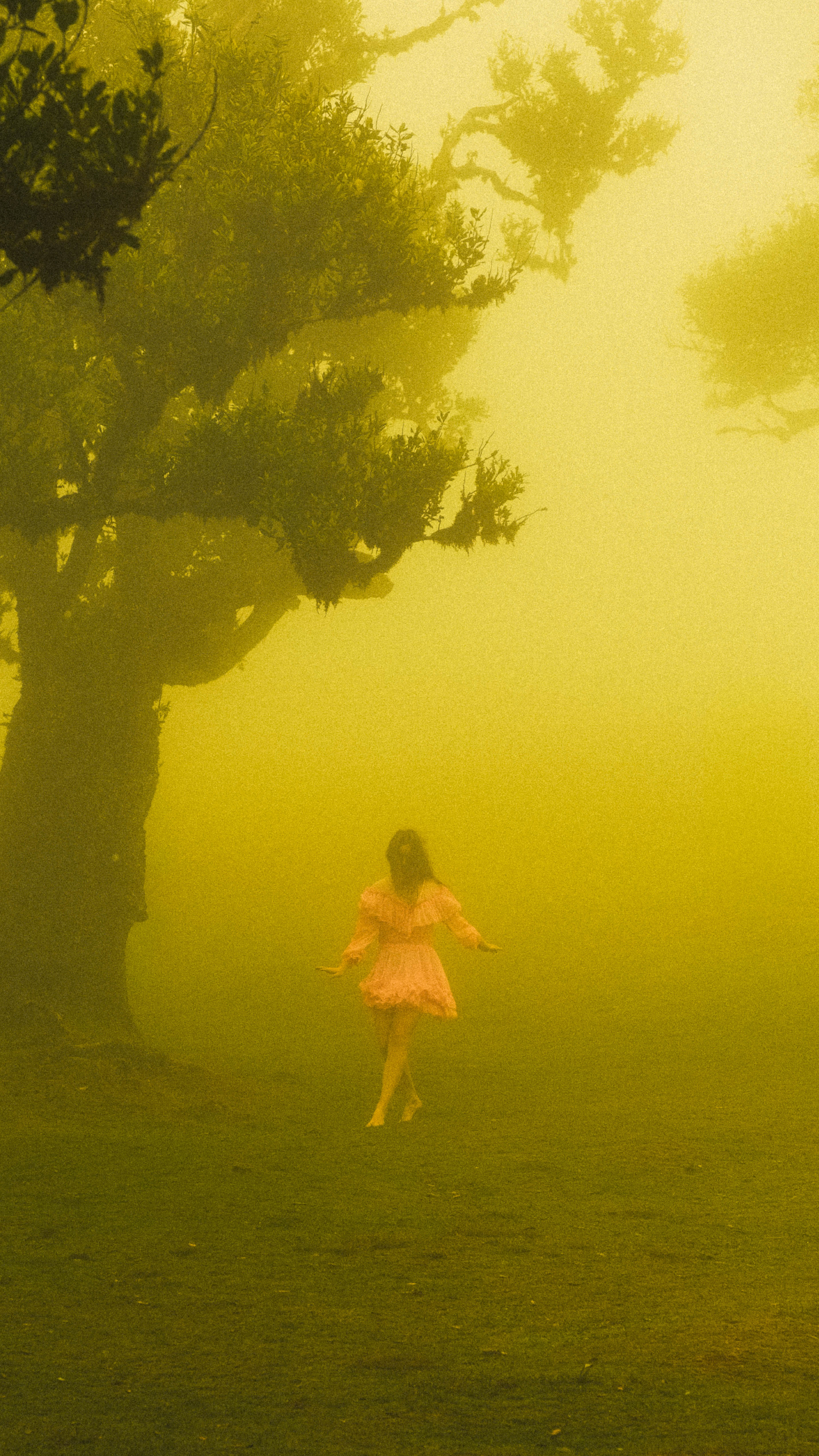 Photography by Hermann Stern