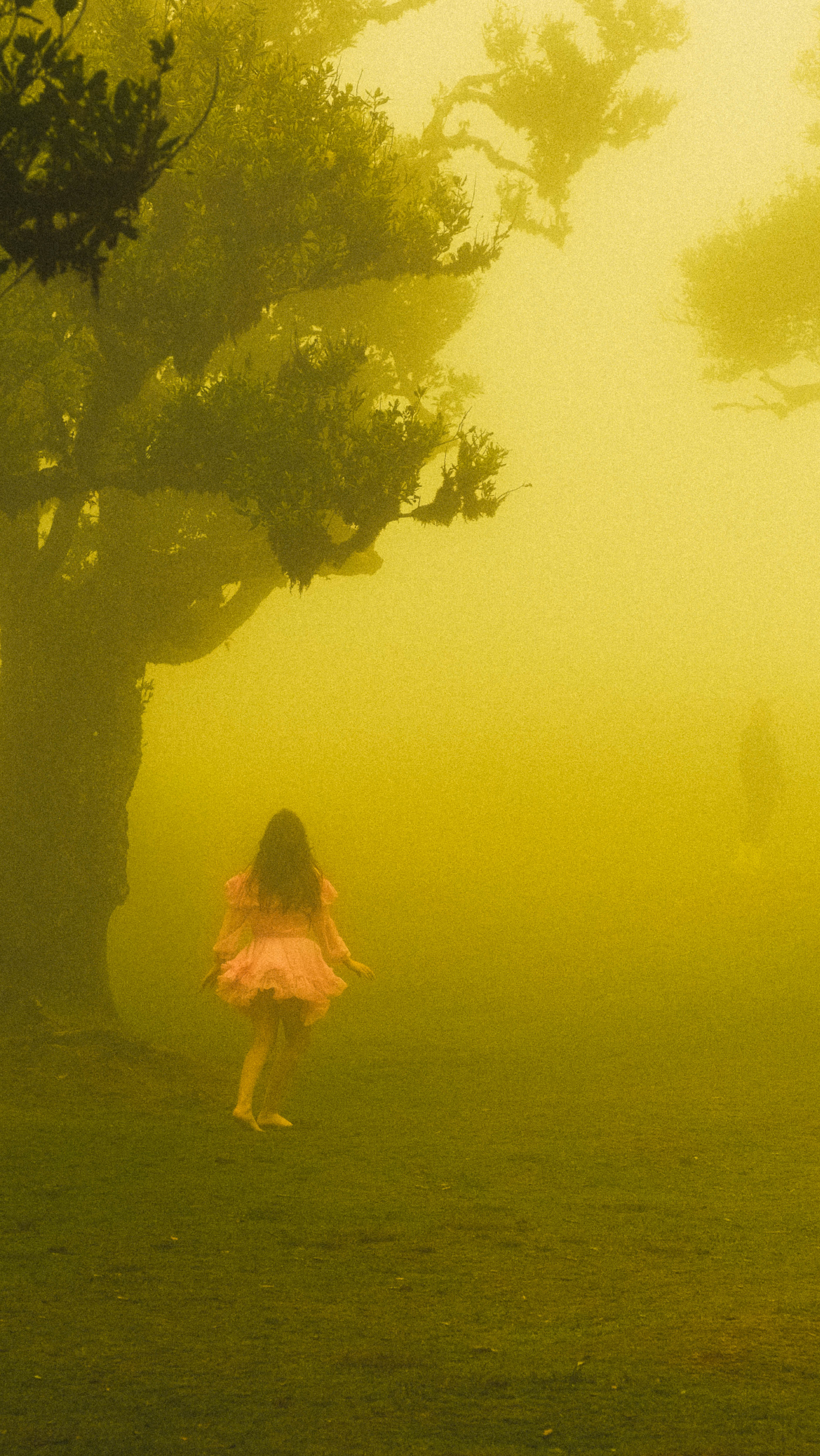 Photography by Hermann Stern