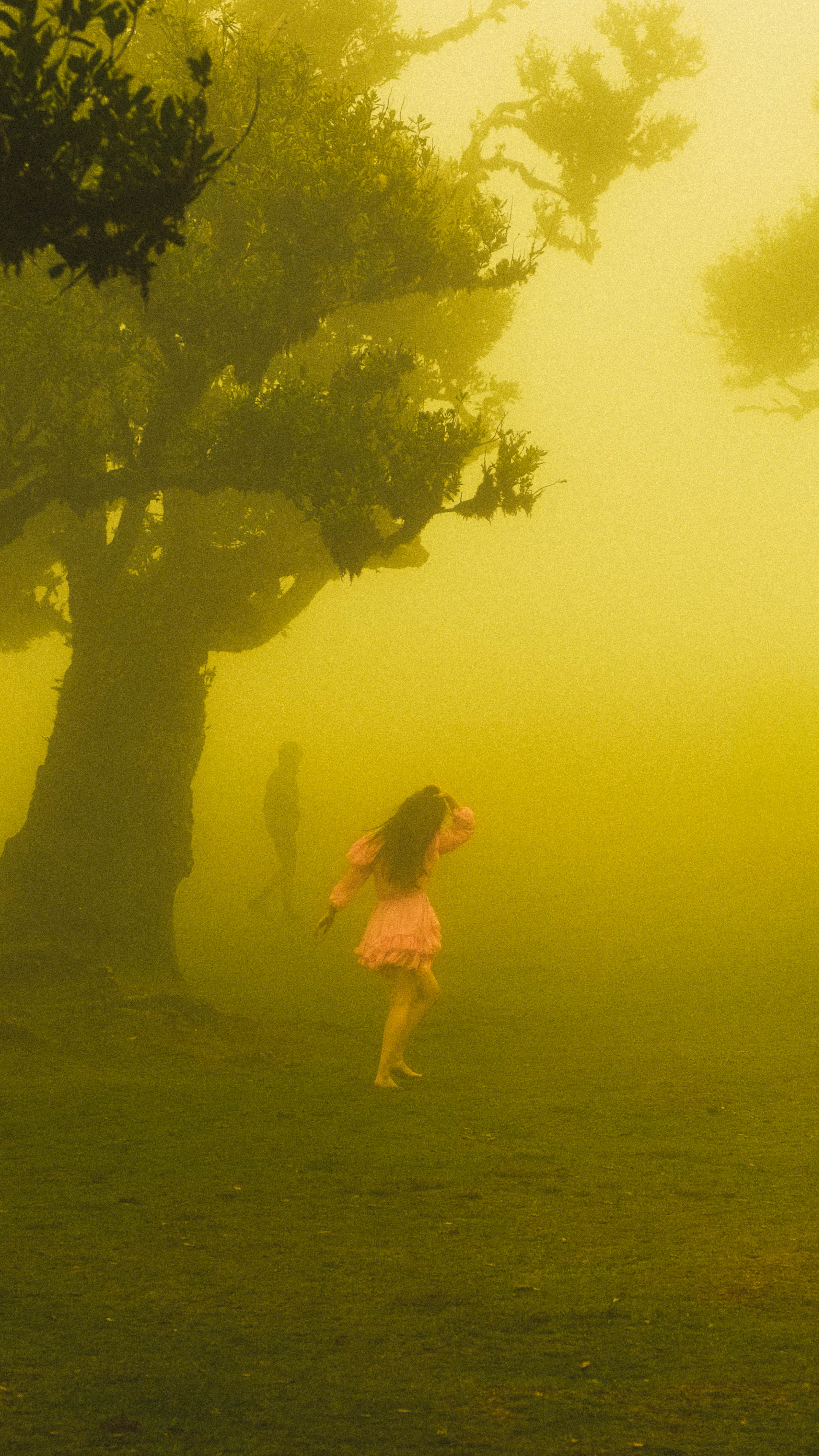 Photography by Hermann Stern