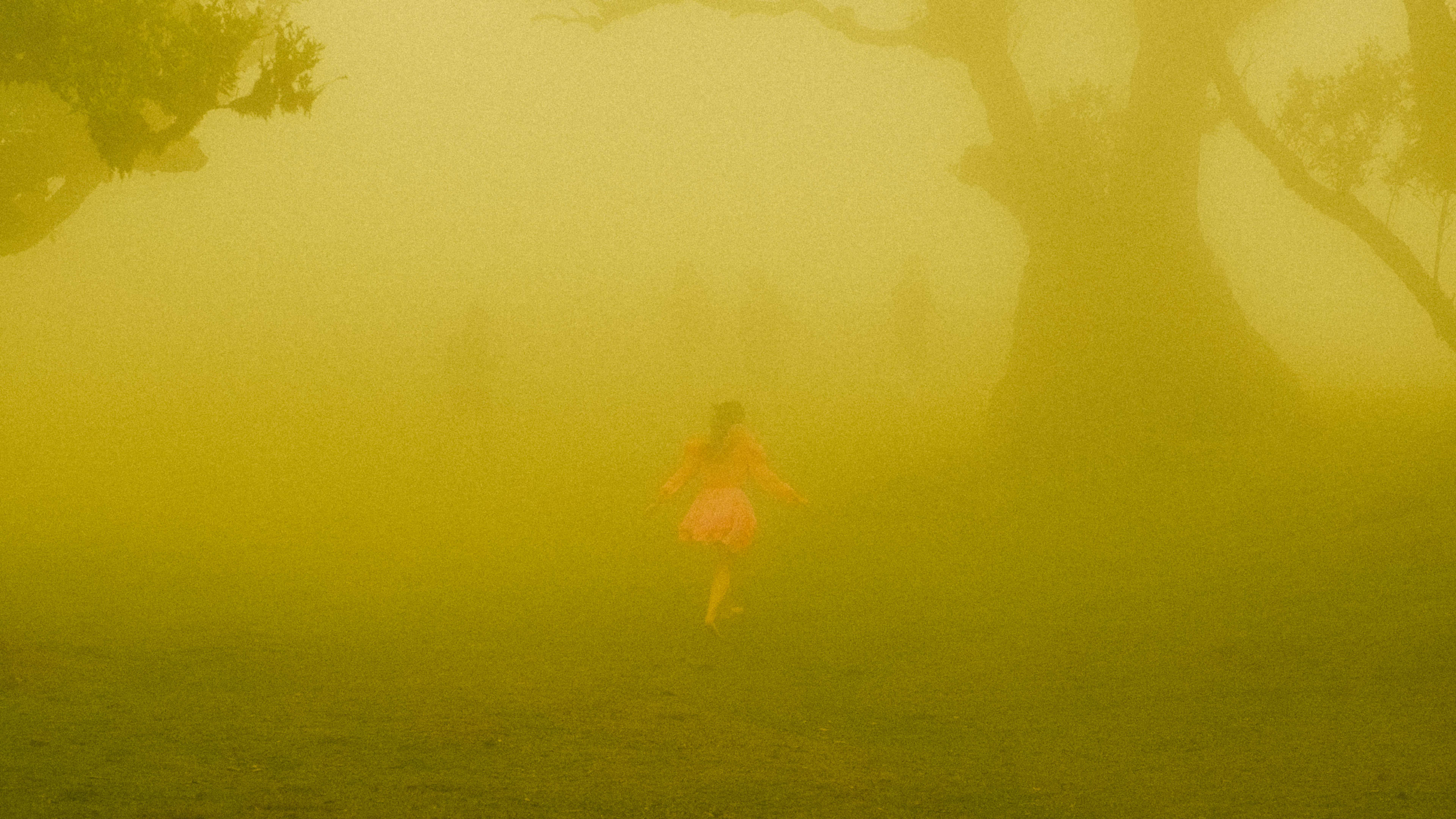 Photography by Hermann Stern