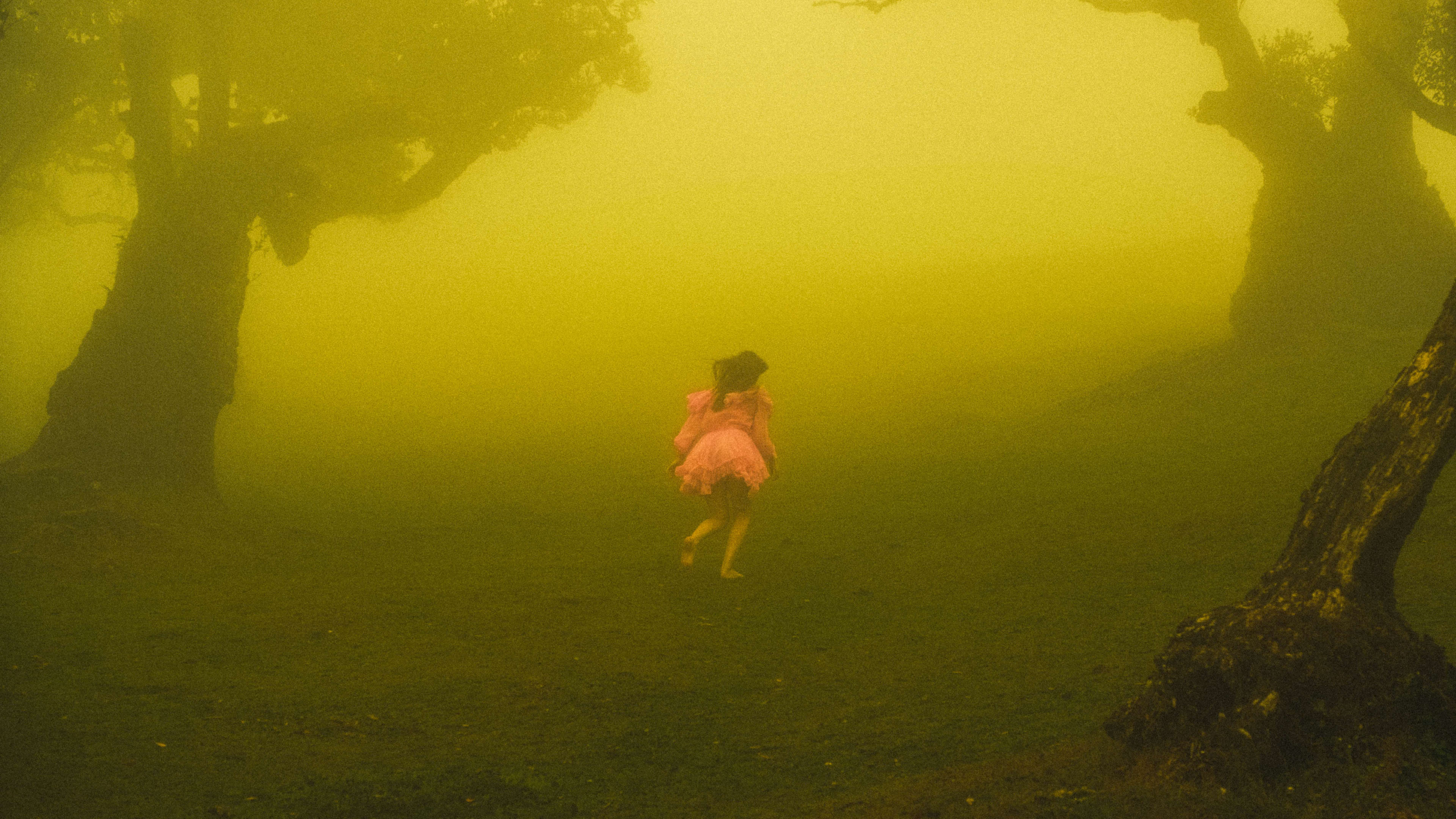 Photography by Hermann Stern