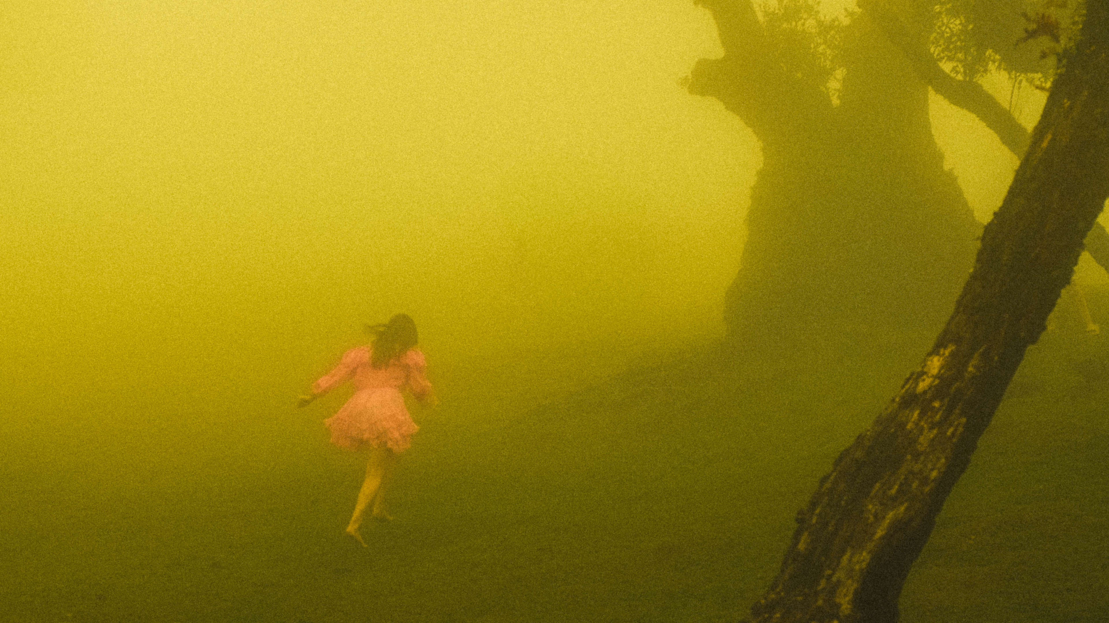 Photography by Hermann Stern