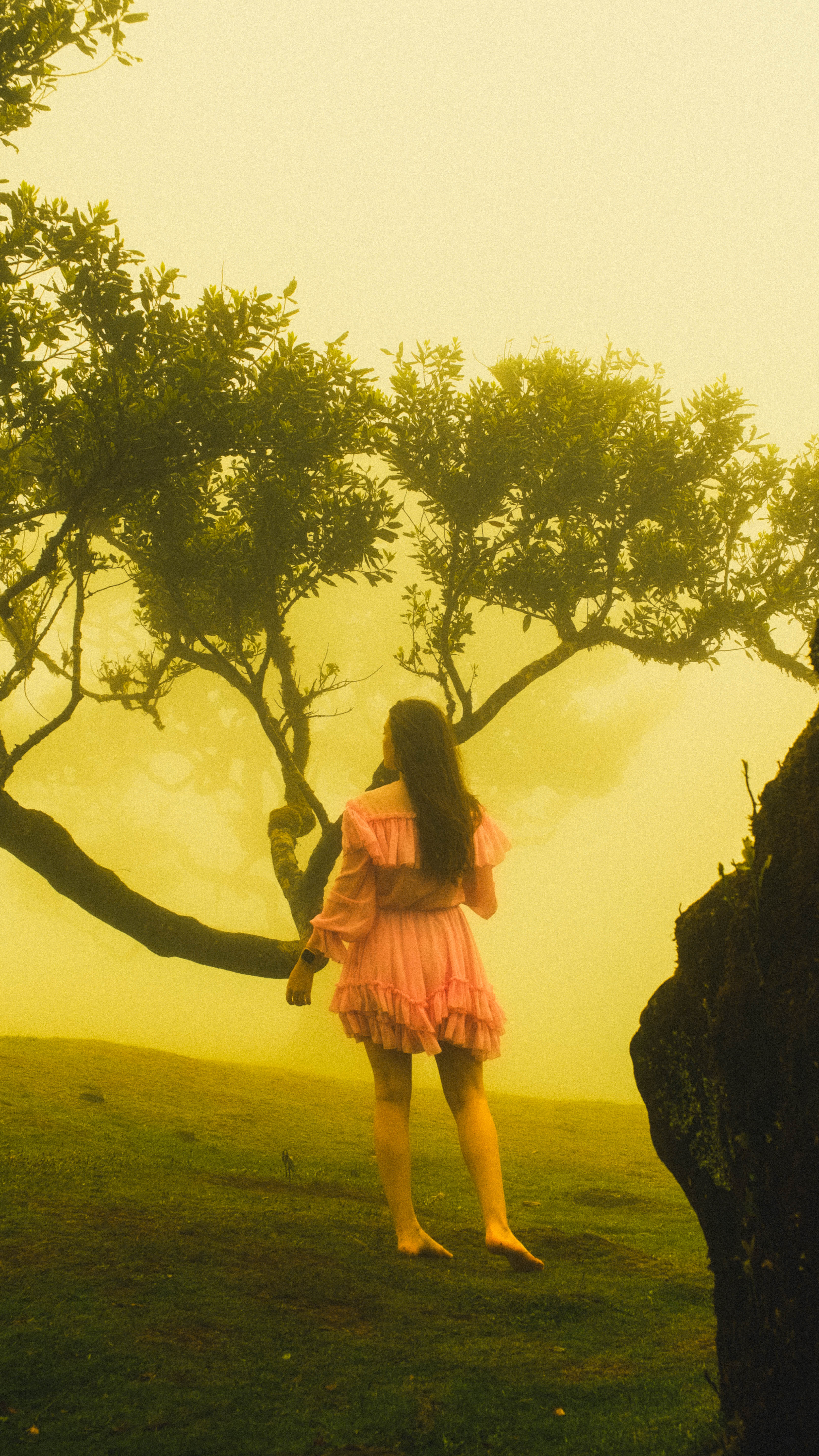 Photography by Hermann Stern