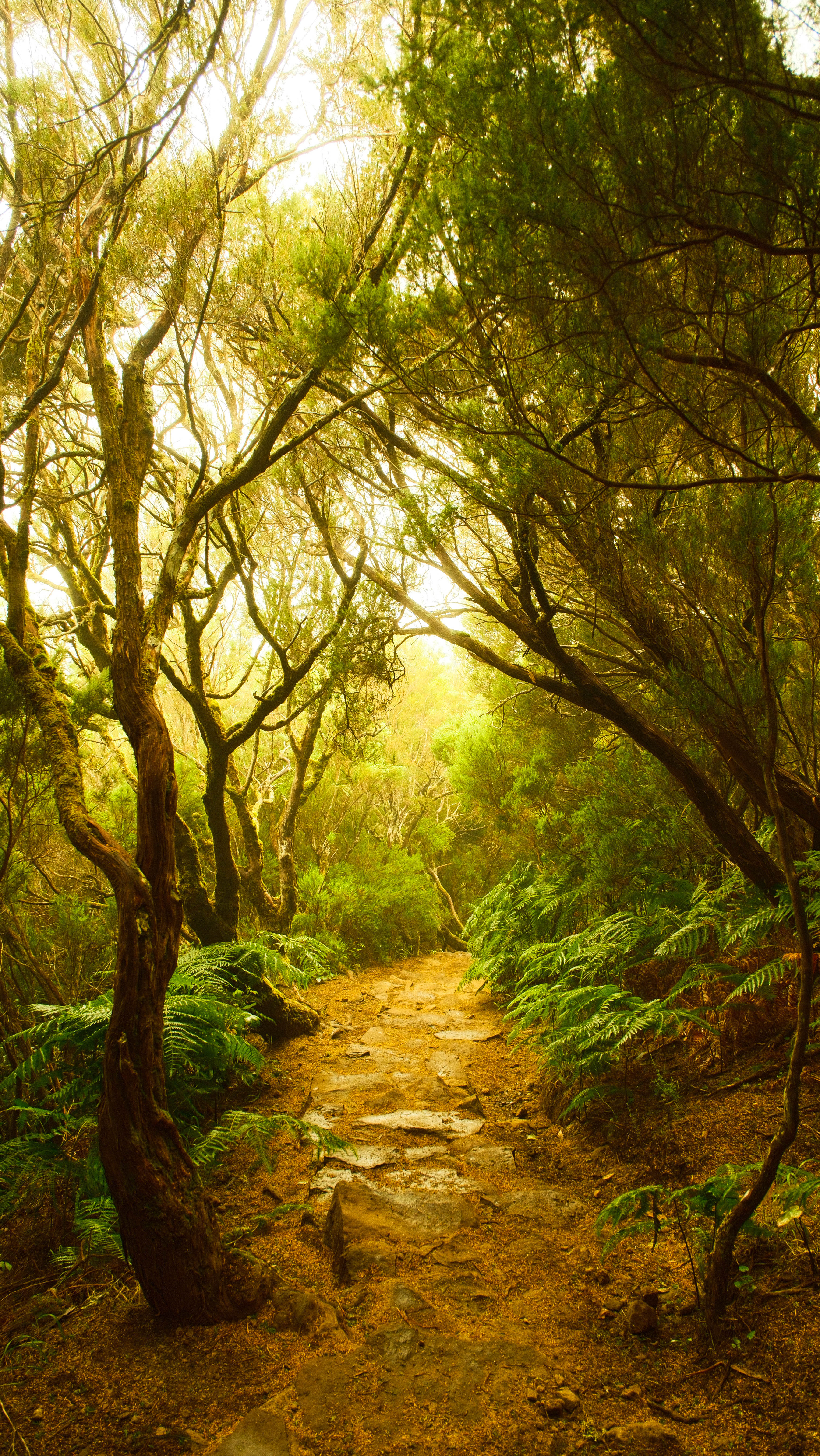 Photography by Hermann Stern