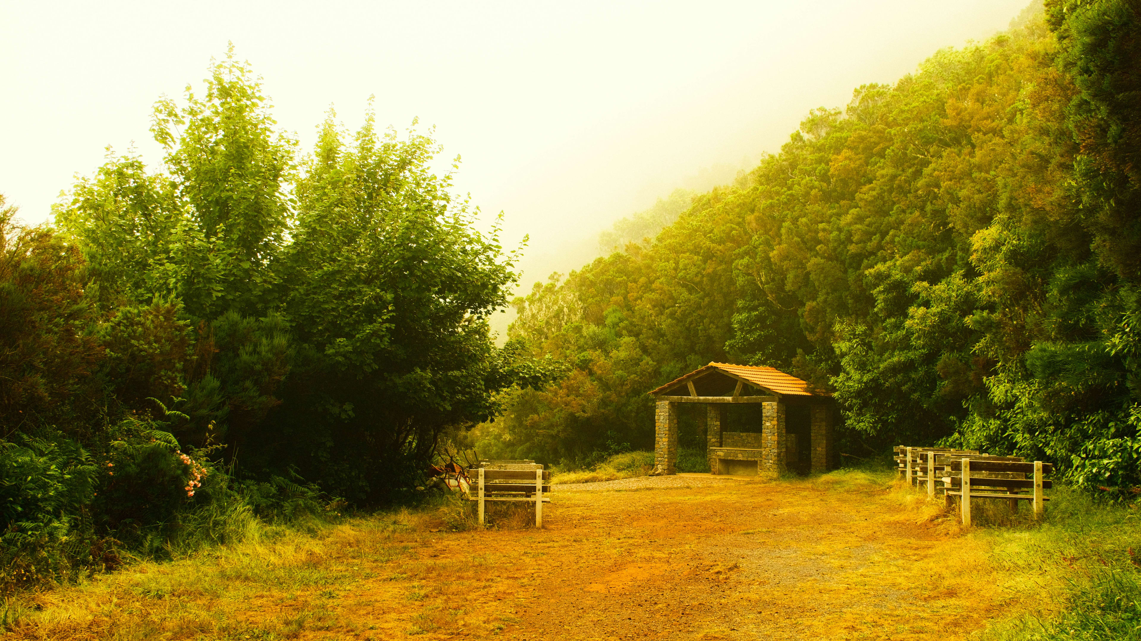 Photography by Hermann Stern