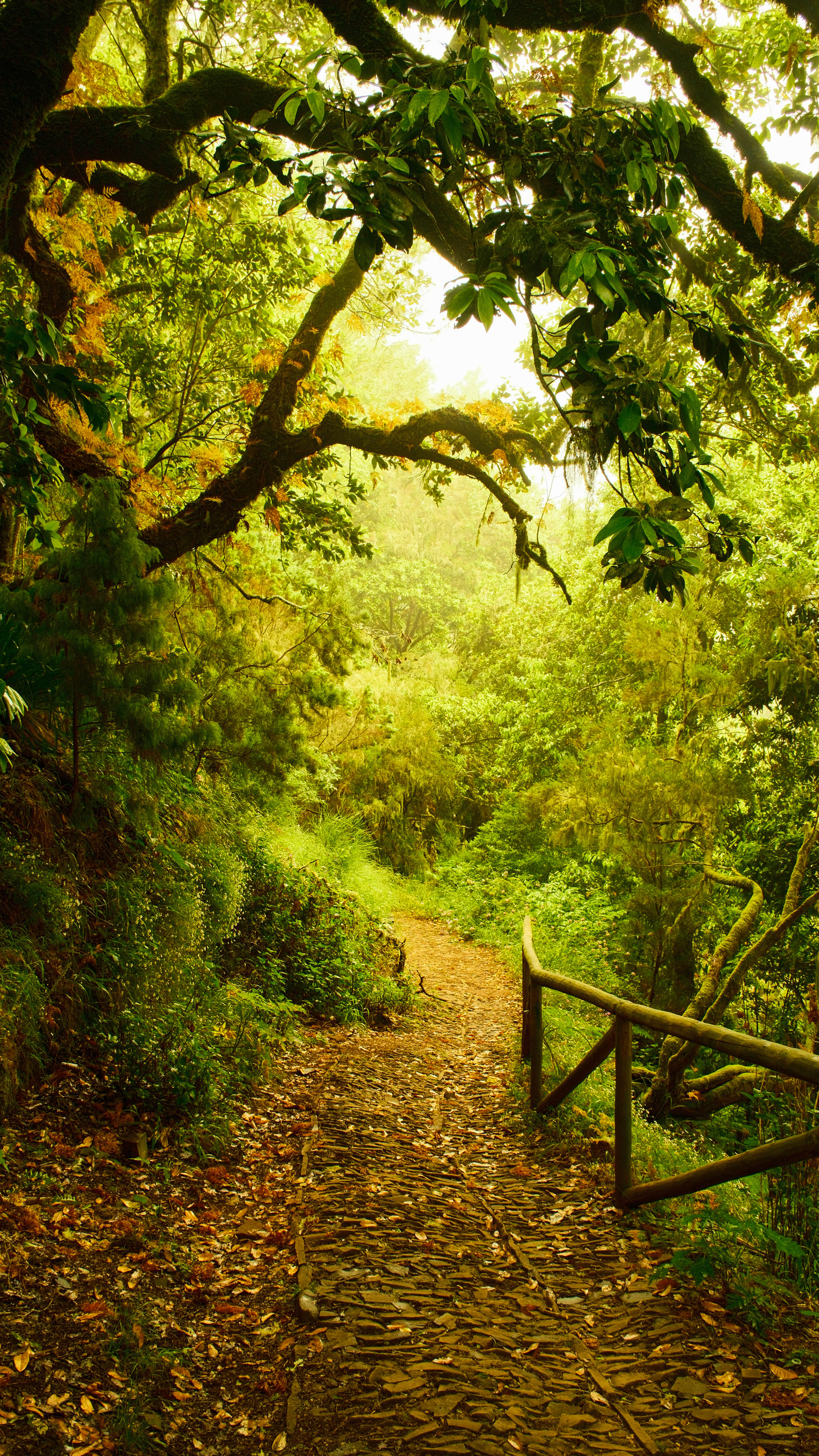 Photography by Hermann Stern