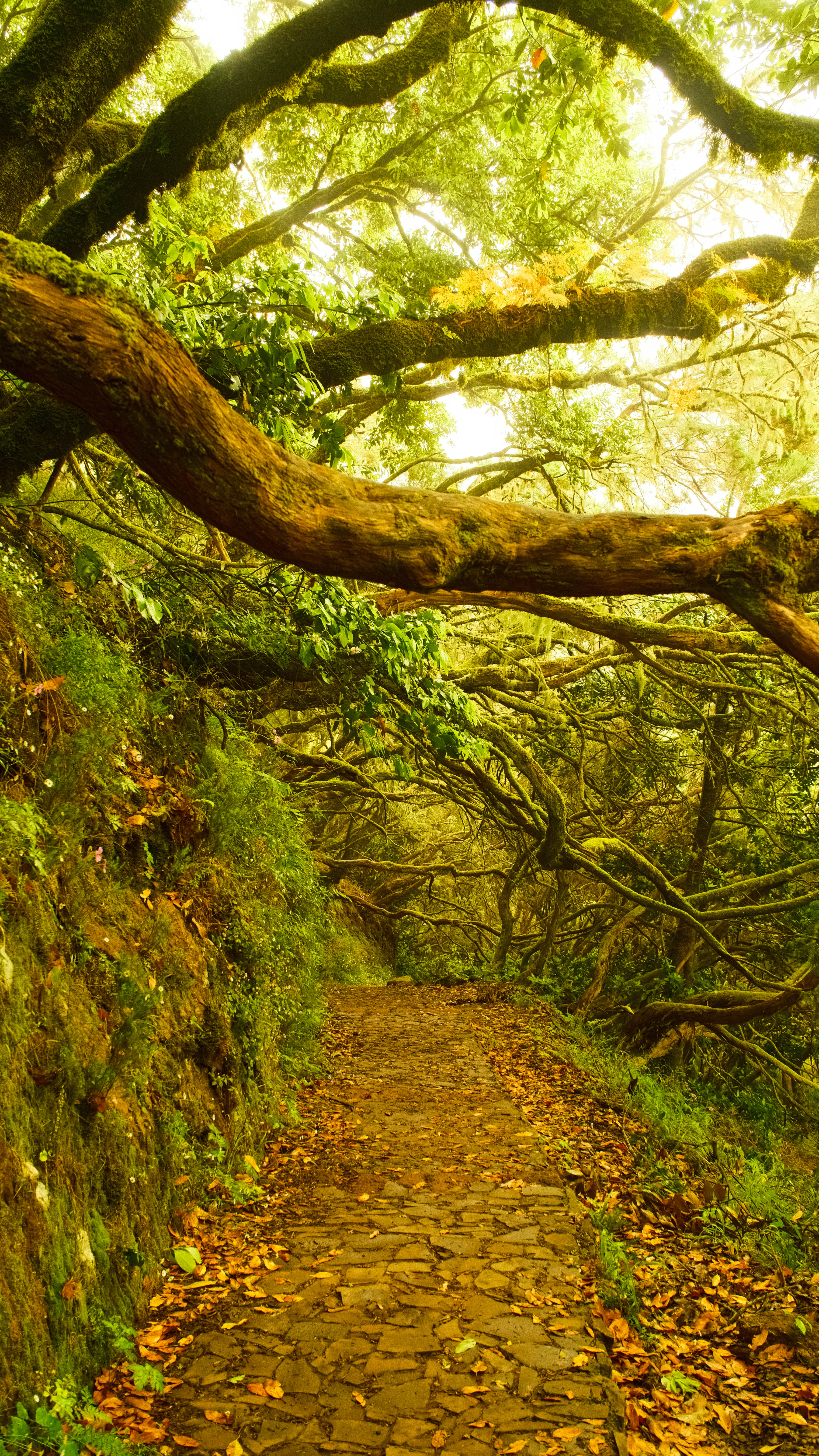 Photography by Hermann Stern