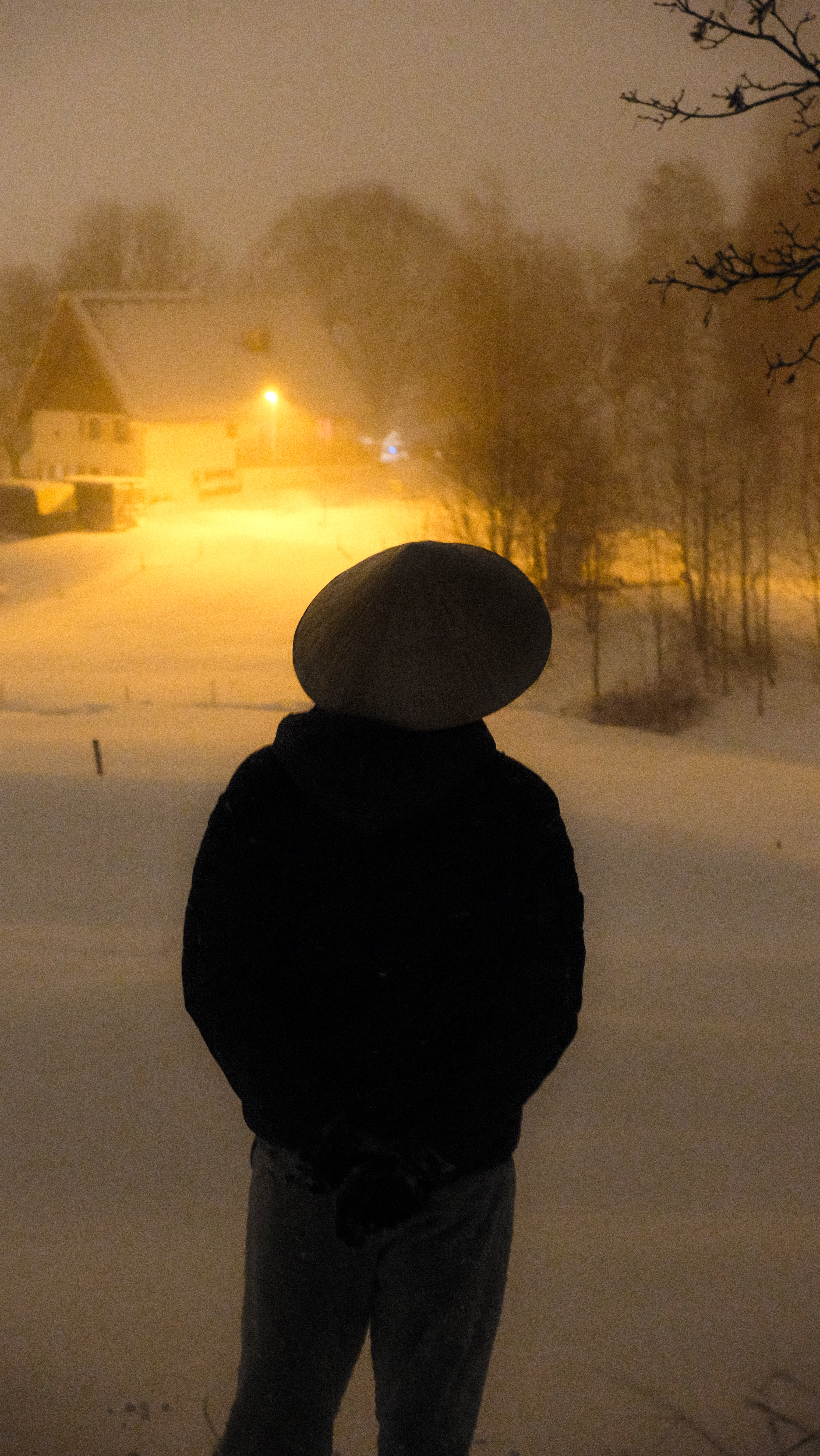 Photography by Hermann Stern