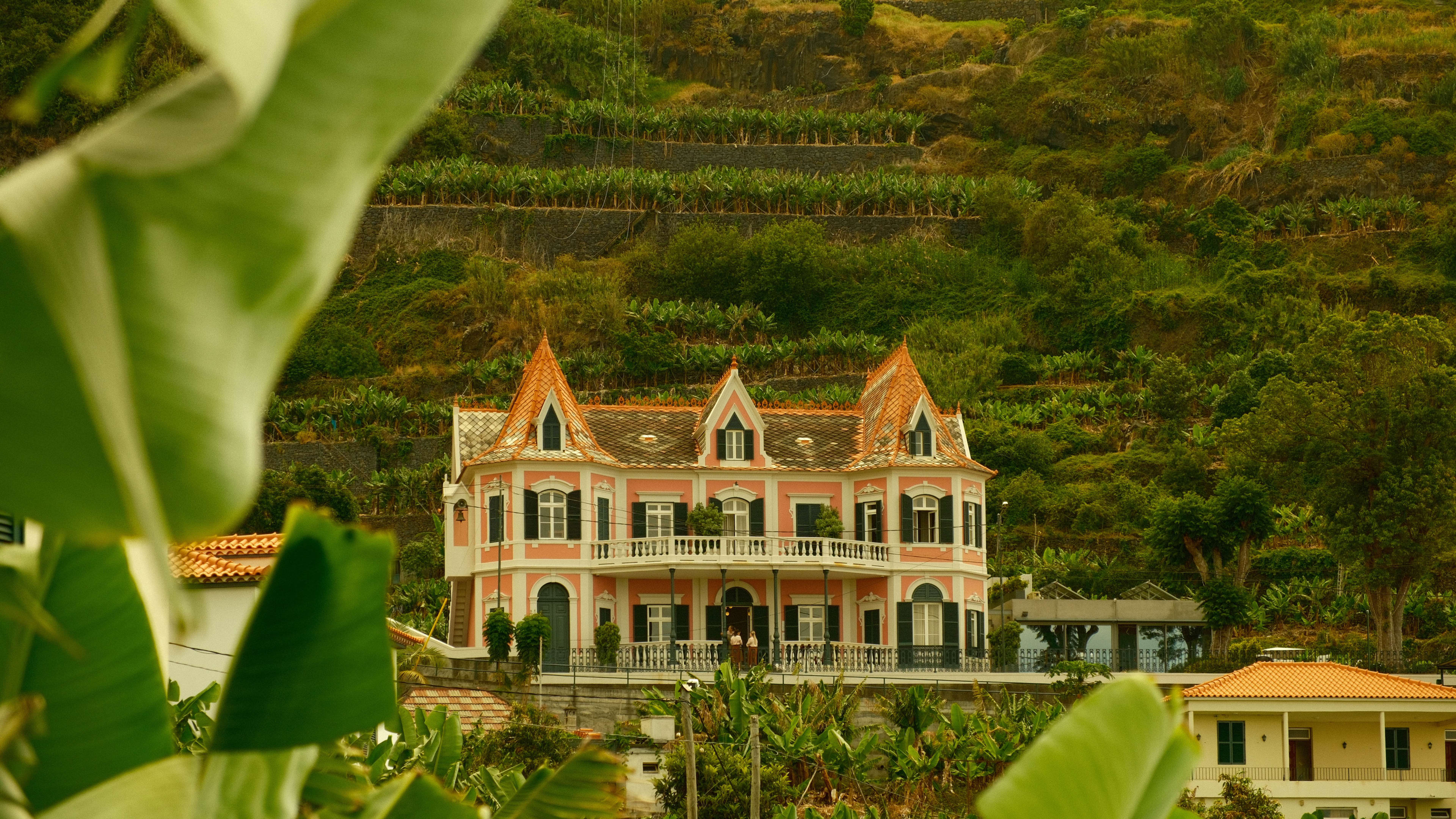 Photography by Hermann Stern