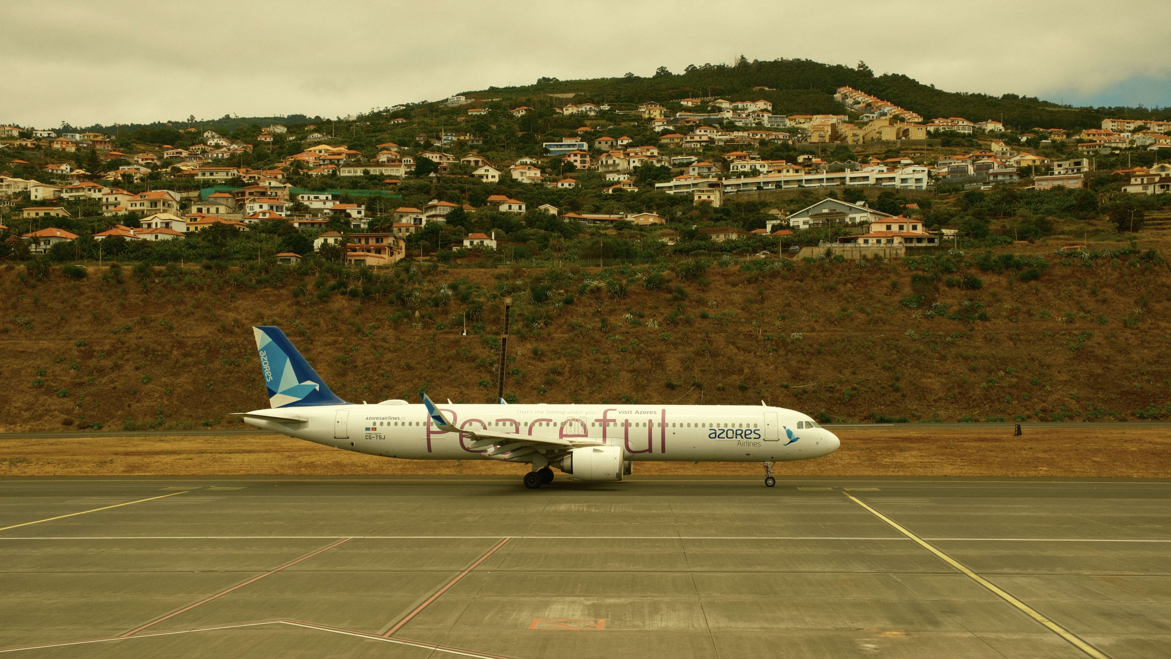 Photography by Hermann Stern