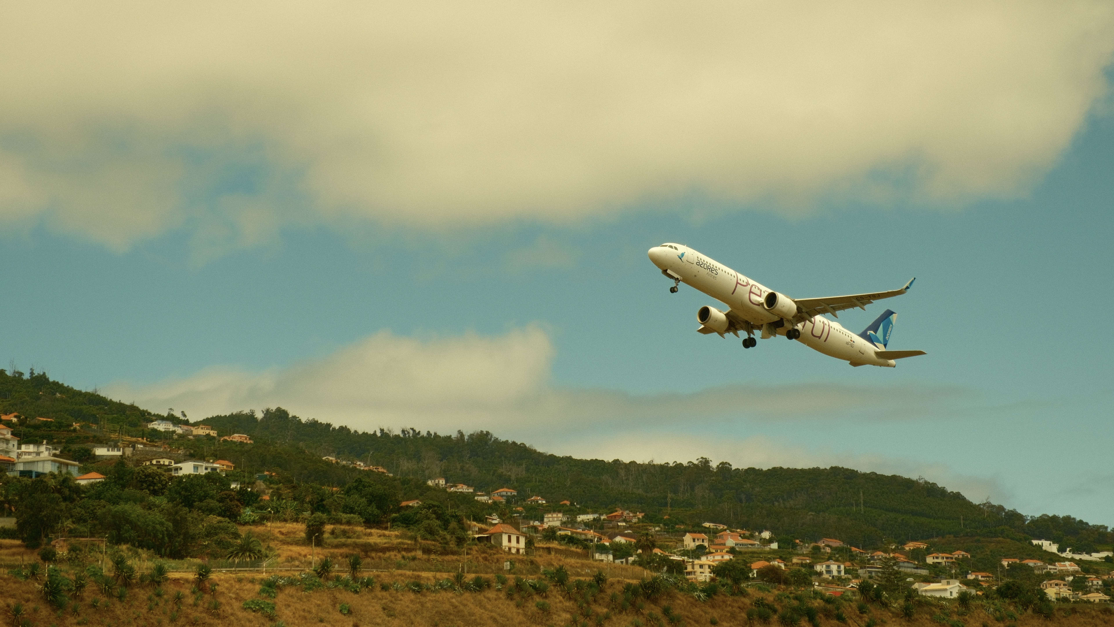 Photography by Hermann Stern