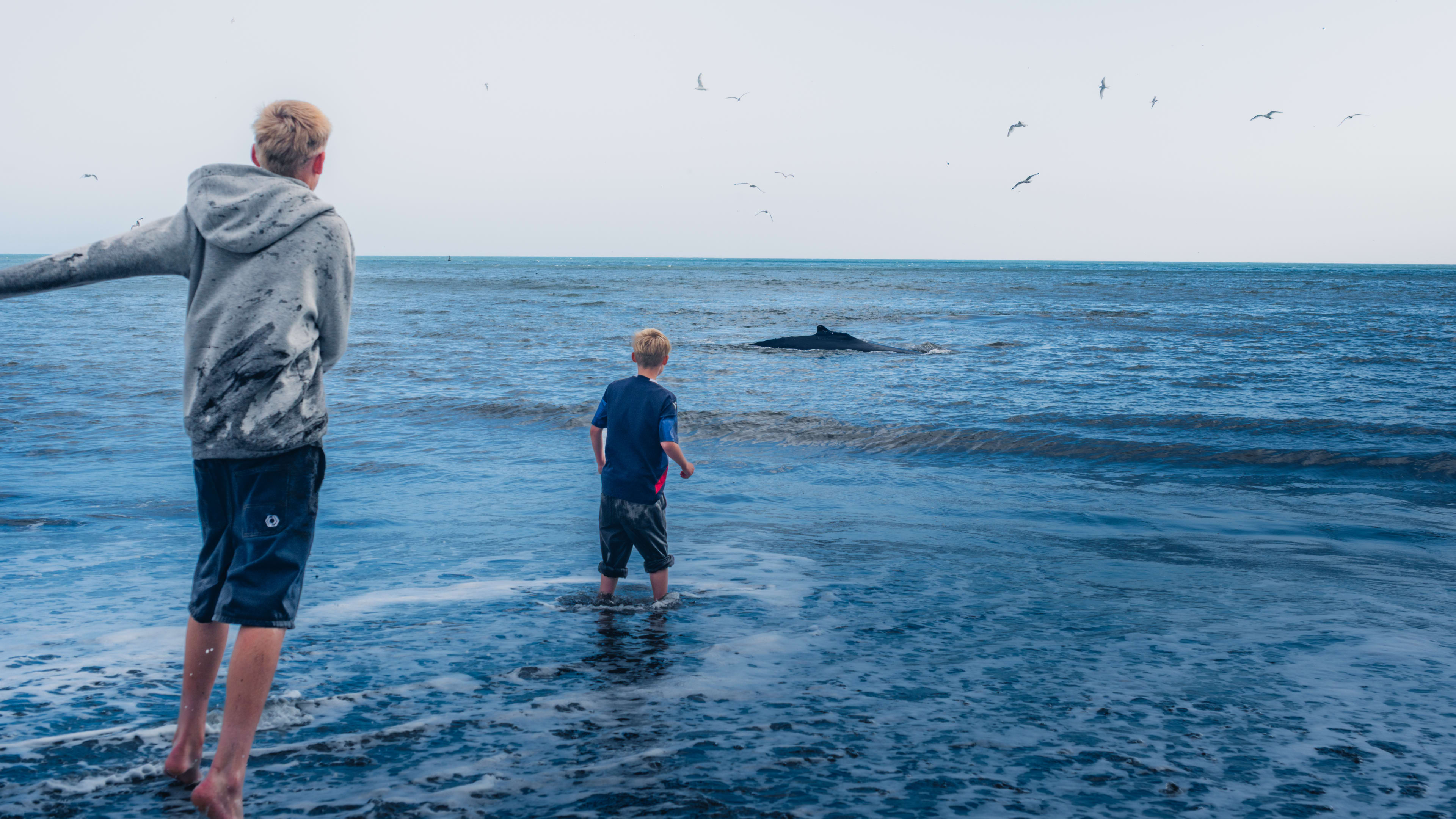 Photography by Hermann Stern