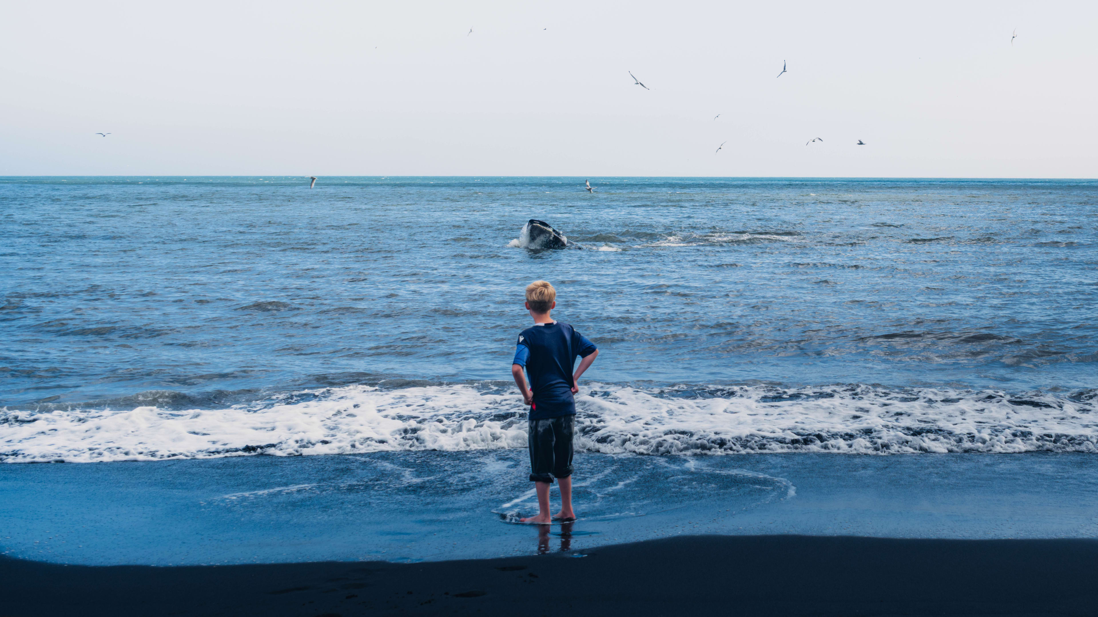 Photography by Hermann Stern