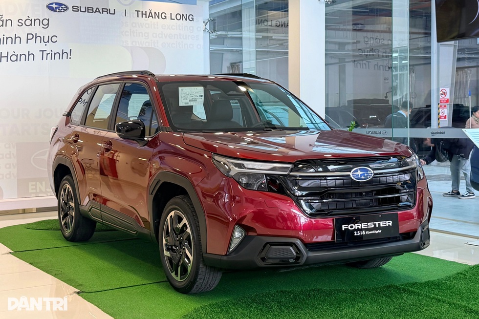 Loạt ô tô mới ra mắt khách Việt trong tháng 11: Xe hybrid cắm sạc áp đảo - 1