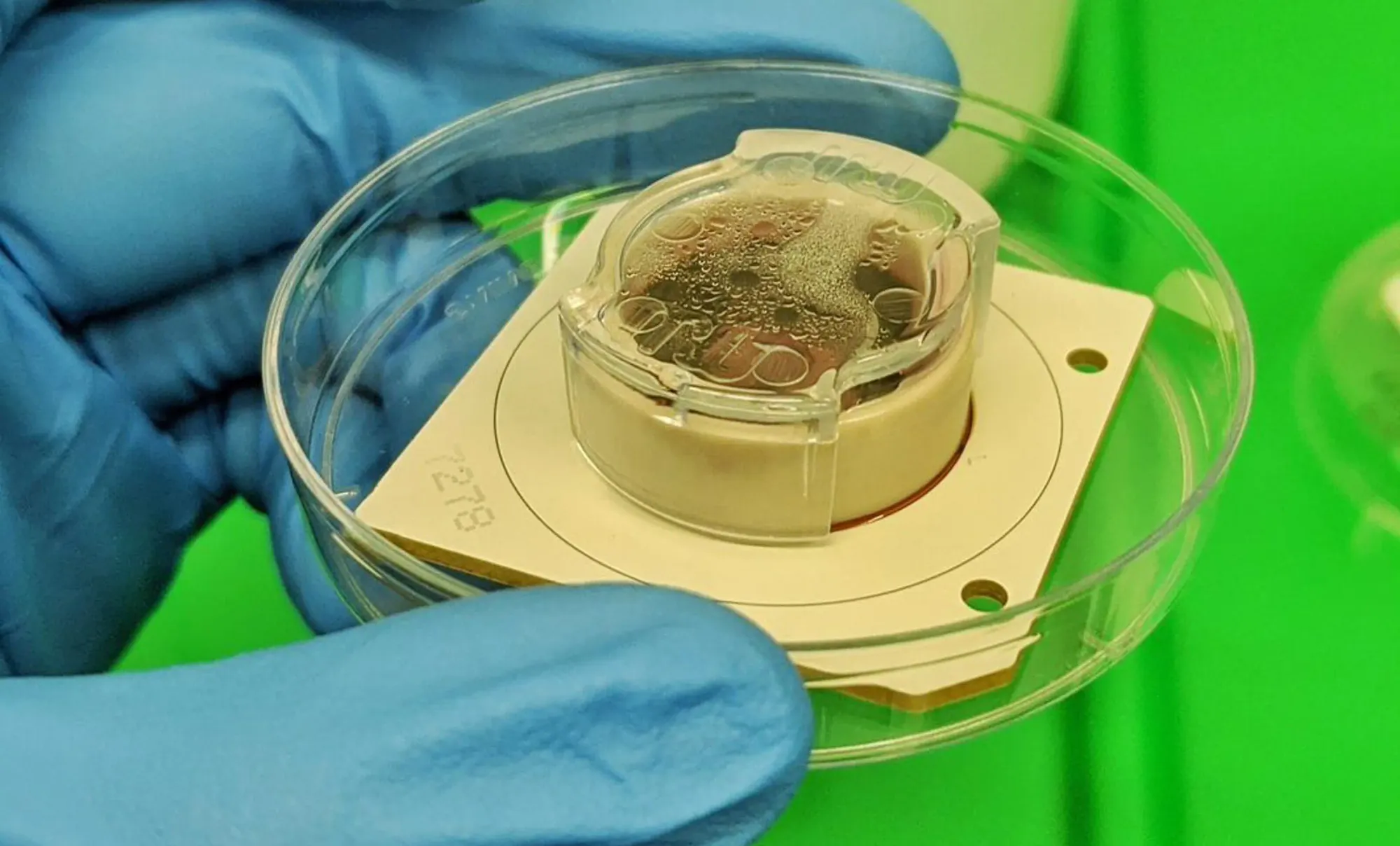 Máy tính mô phỏng não bộ đã quá phổ biến, giờ các nhà khoa học trồng cả nơ ron thần kinh lên chip