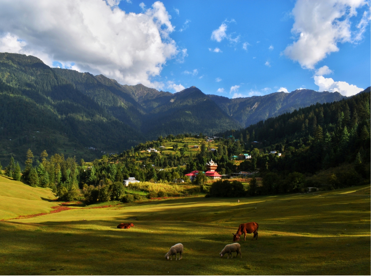 Hidden Himachal Retreat