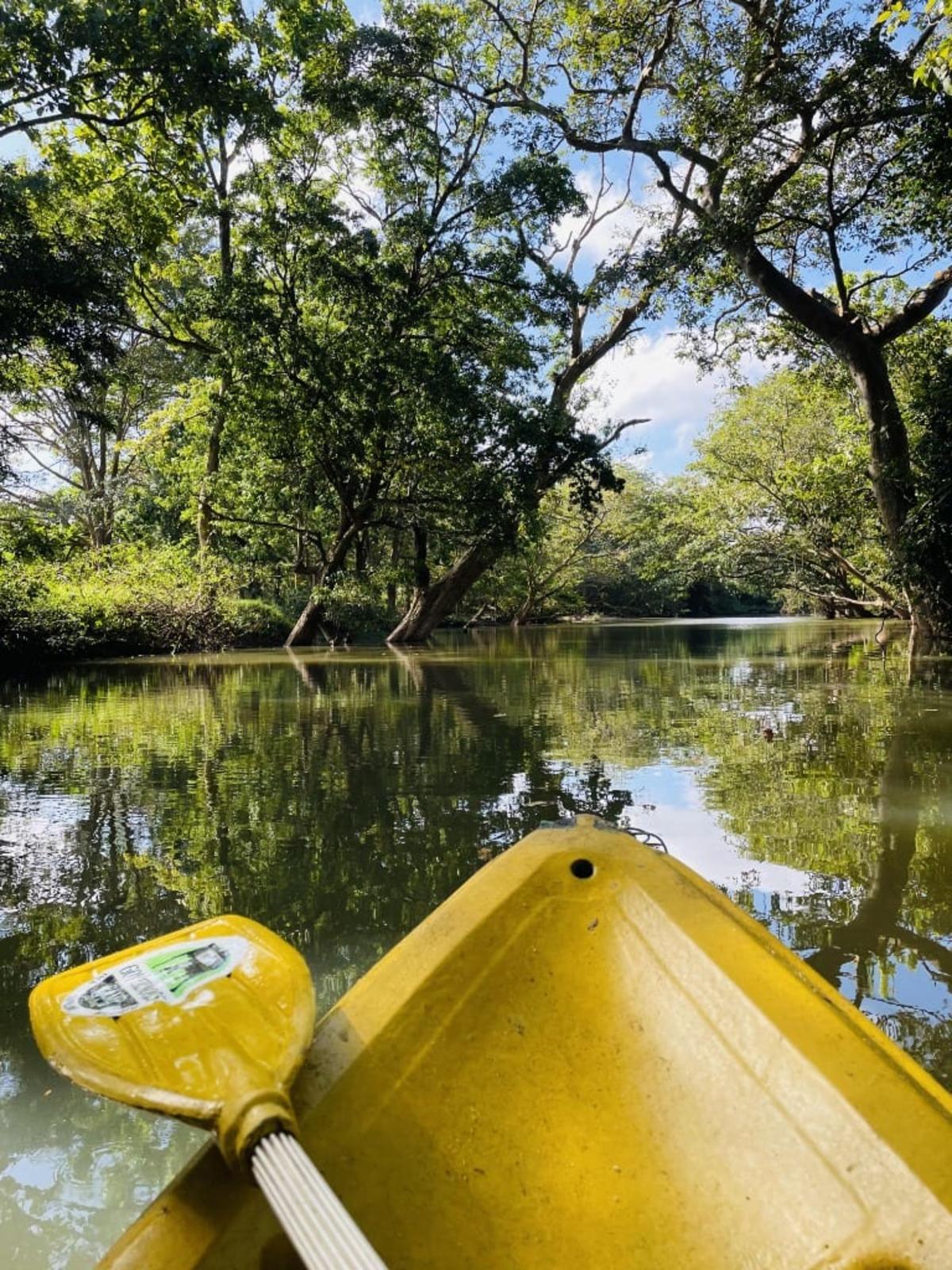 Kayaking on Raalmadu Oya in Wilpattu