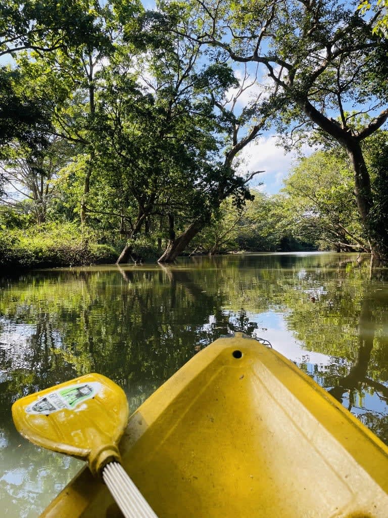 Raalmadu Oya River Kayaking & Fishing