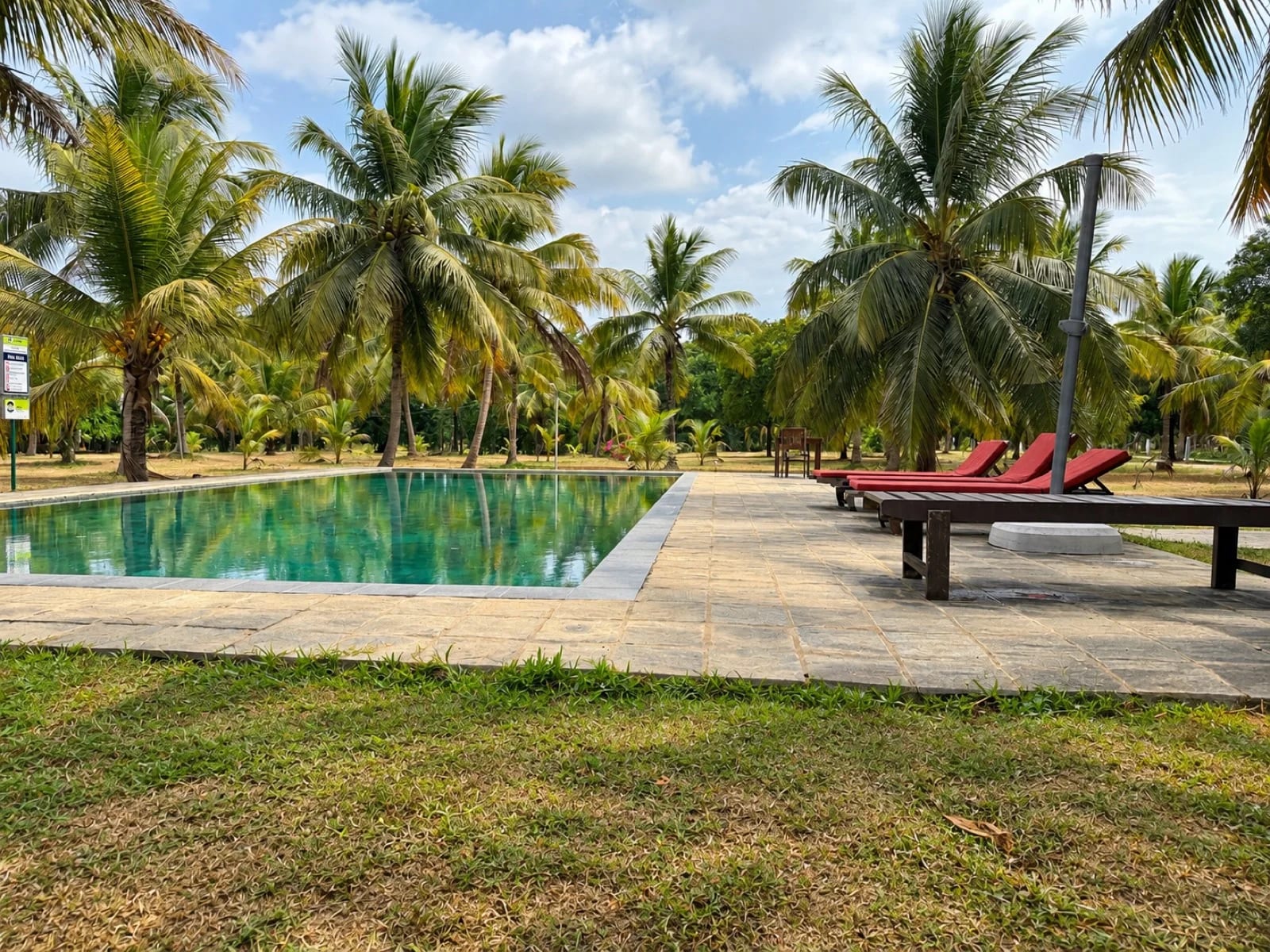 Outdoor swimming pool oasis at Wilpattu