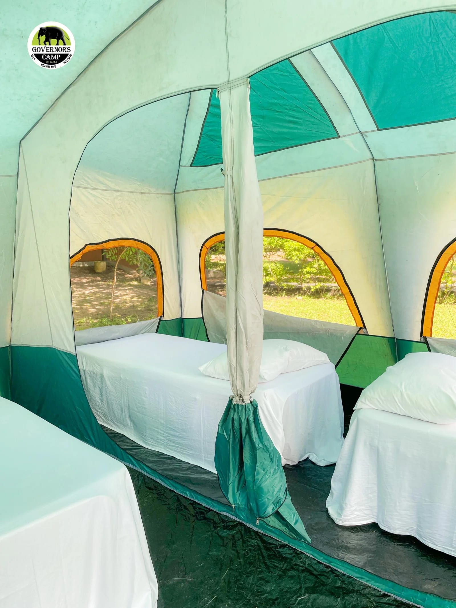 Four comfortable camping beds inside luxury safari tent at Wilpattu