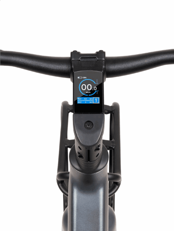 BRN BIKE E-CITY LADY