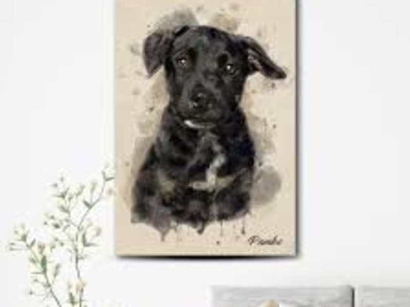 Pintura Retrato Pequeño de Mascota