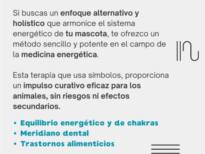 Terapia de Equilibrio Energético y de Chakras para Perrito