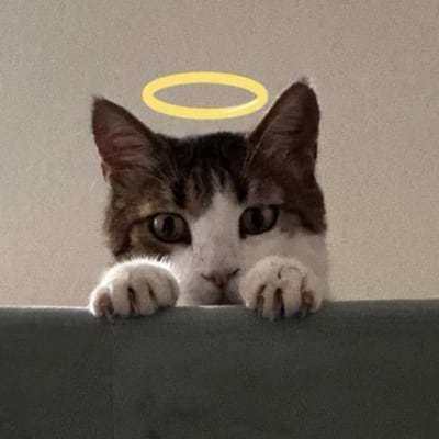 Mimi