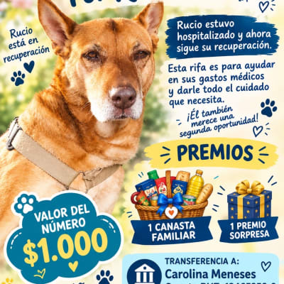 Rucio