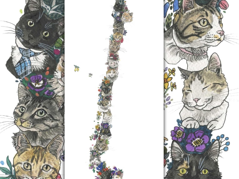 Mapa de Gatos