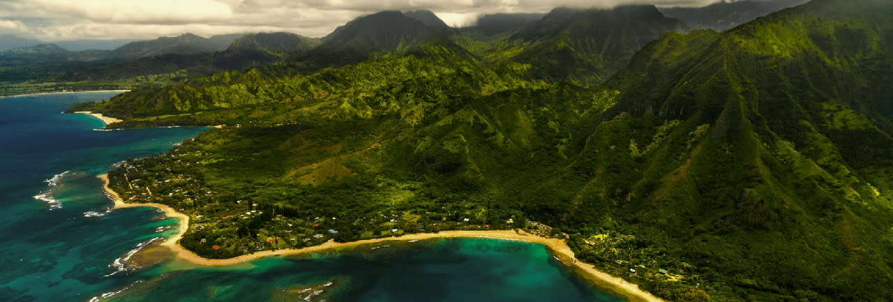 TikiMaster - Enhancing Your Tropical Lifestyle