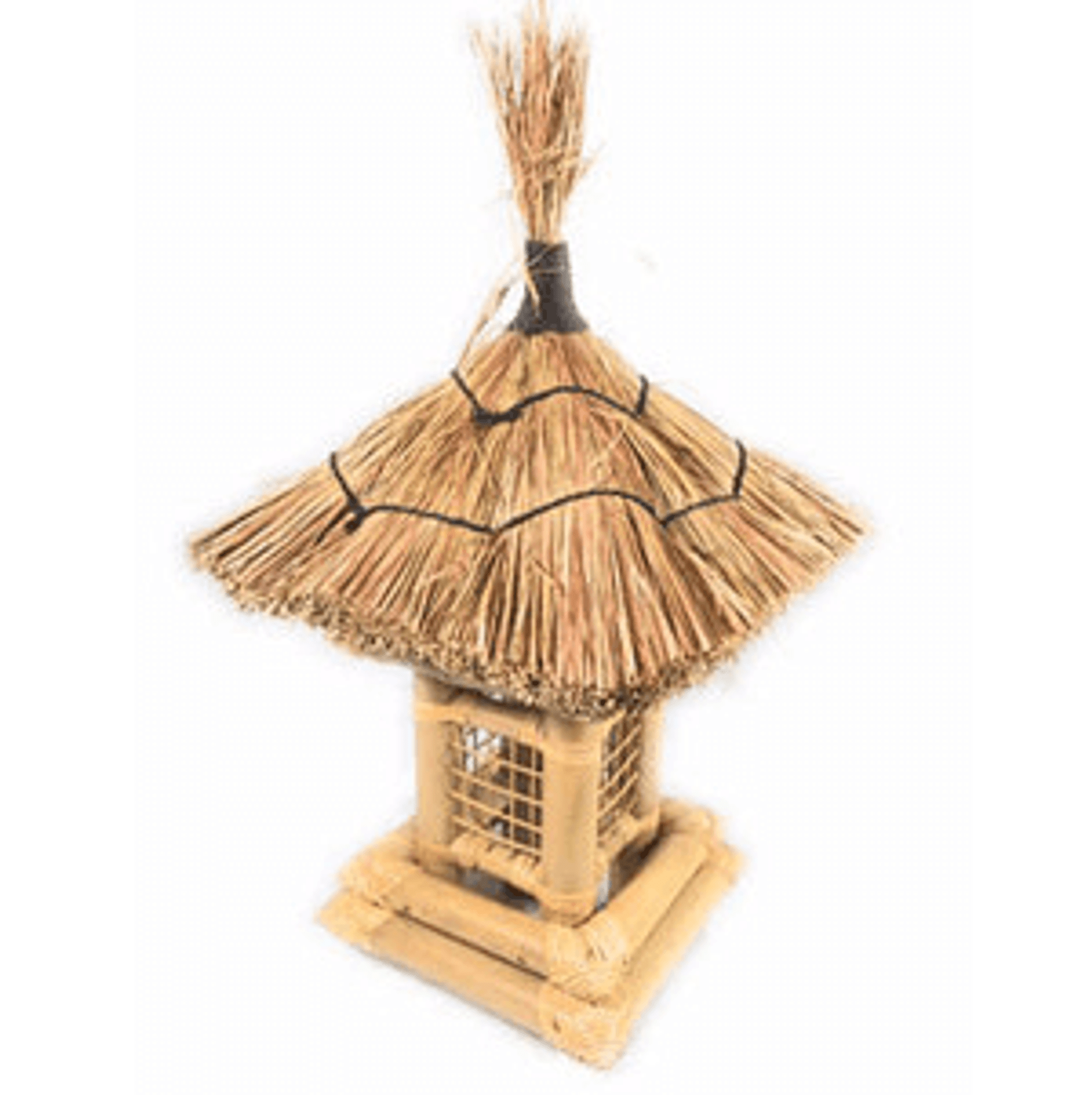 Kulana Goes Rock Sledding with Friends