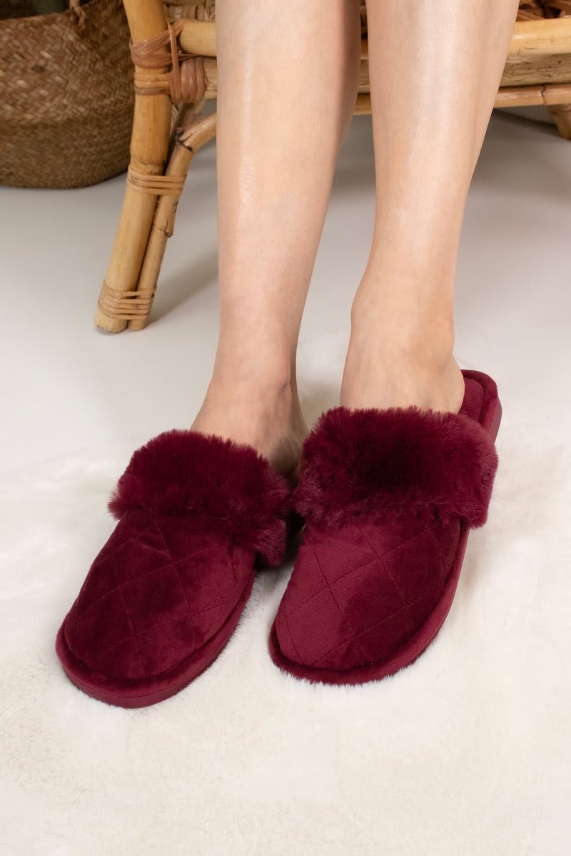 Gigi in BordeauxSlippers