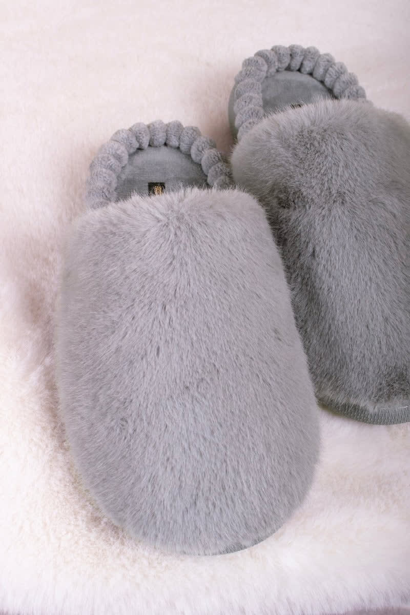 Harley in GreySlippers