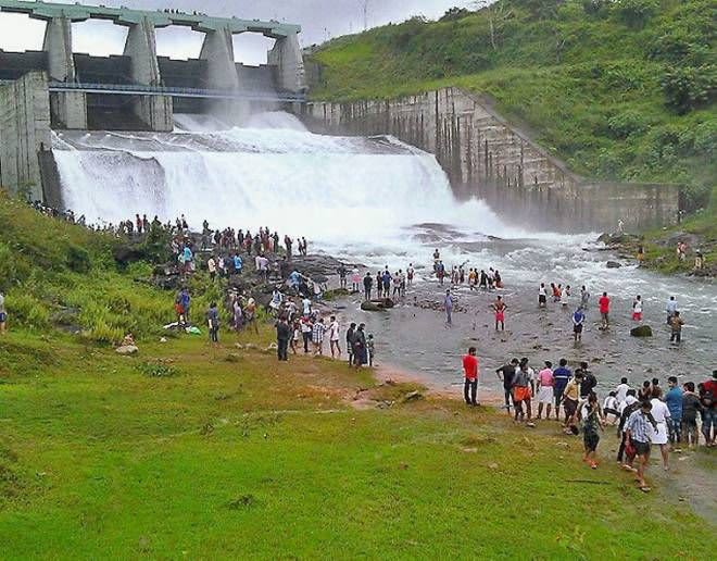 Wayanad — gallery image 5 of 11