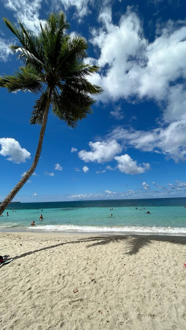 Beach — India destinations by category